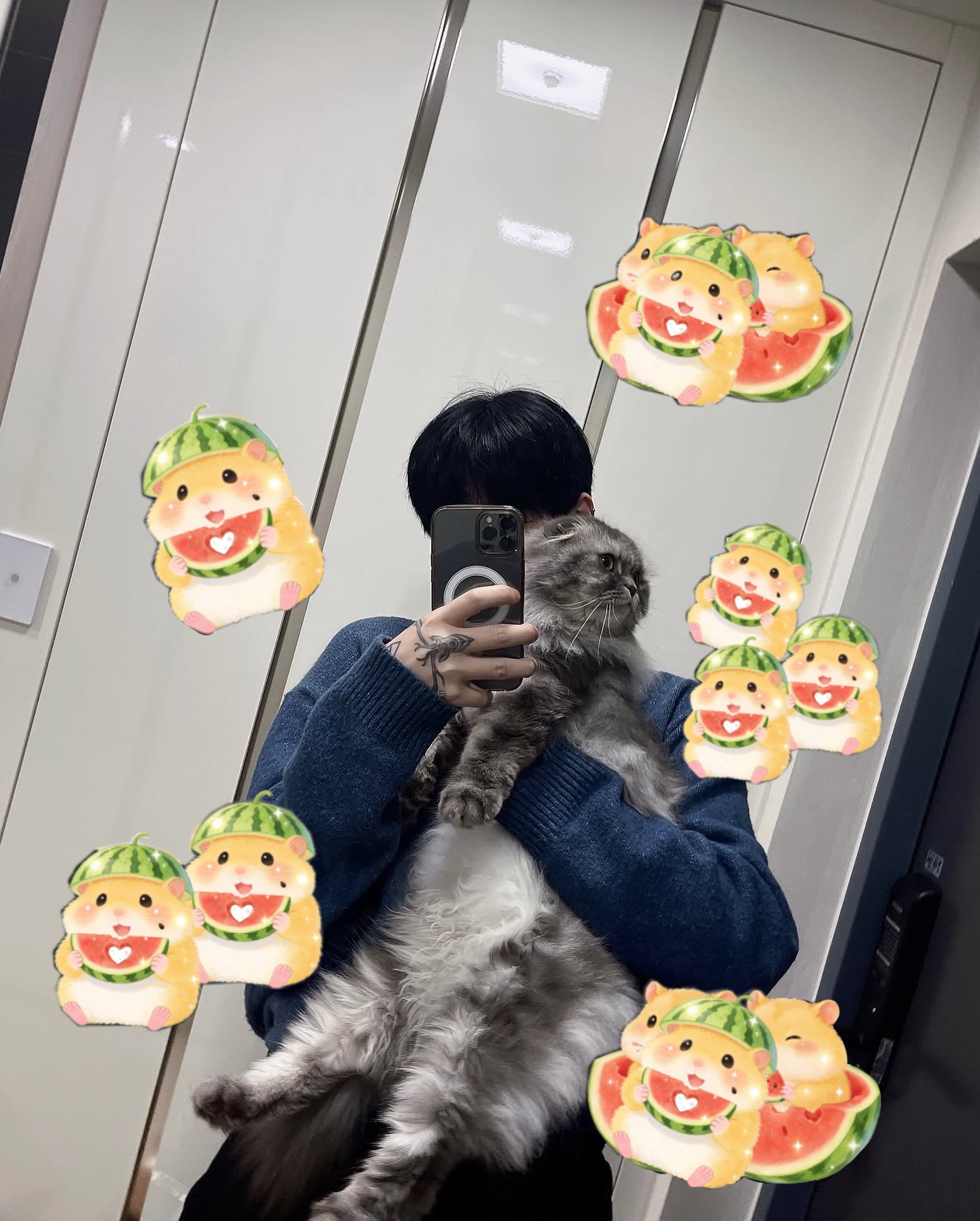 갈 곳 잃은 , 