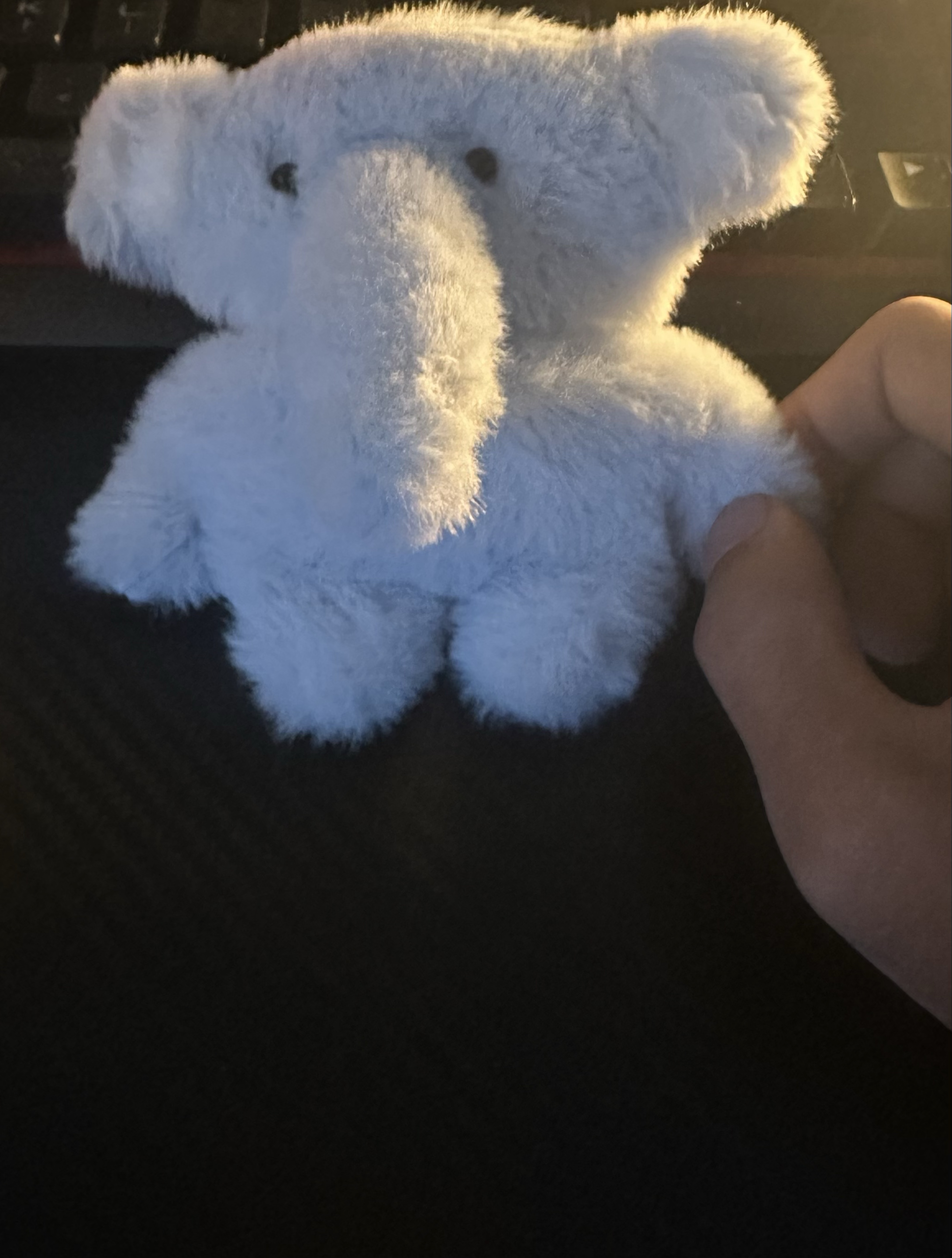 ✎ 👻