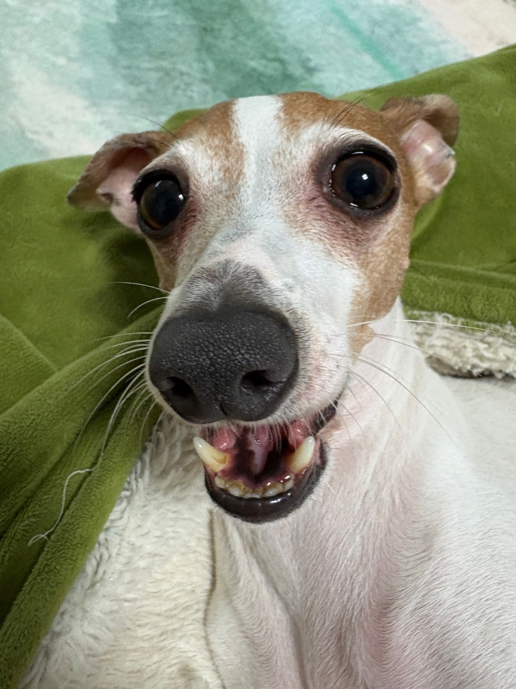들어오세요!!