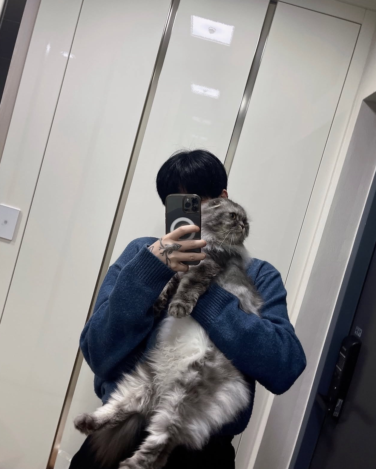 갈 곳 잃은 , 