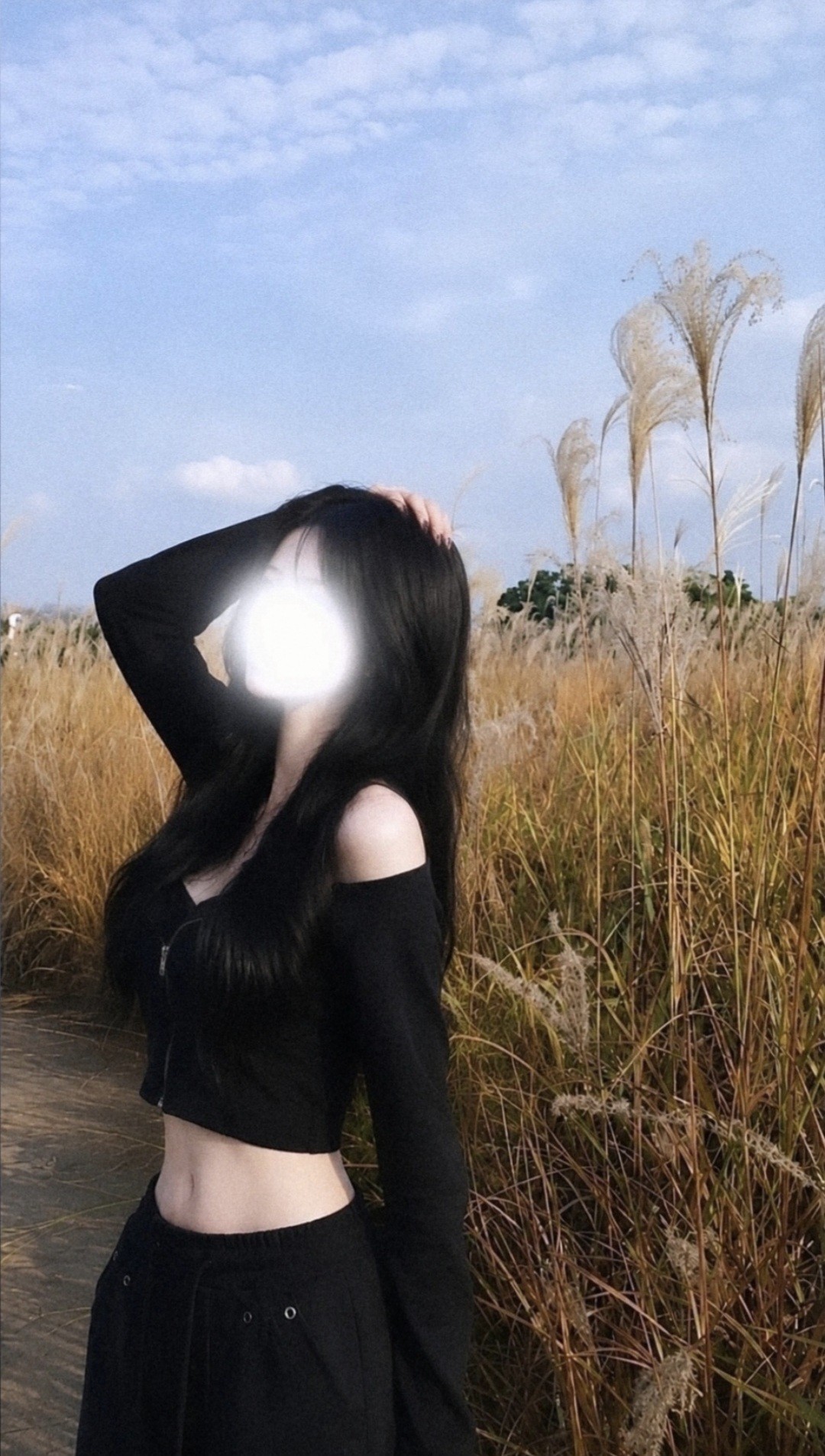 새로운 안식처