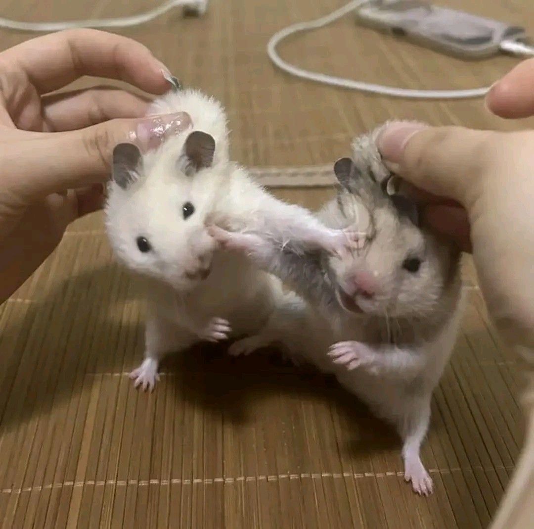 마! 니가먼저 놓으라했디 ㅡㅡ