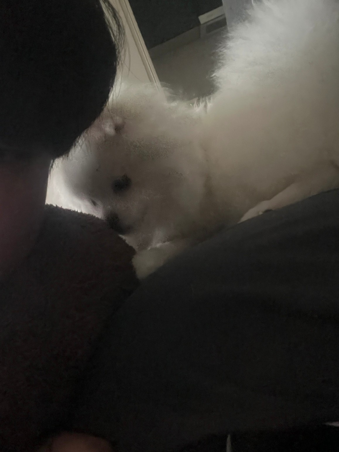 으으으