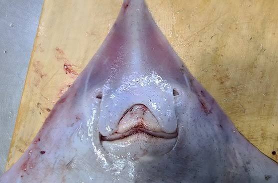 🔥설레는 도파민 소개팅🔥