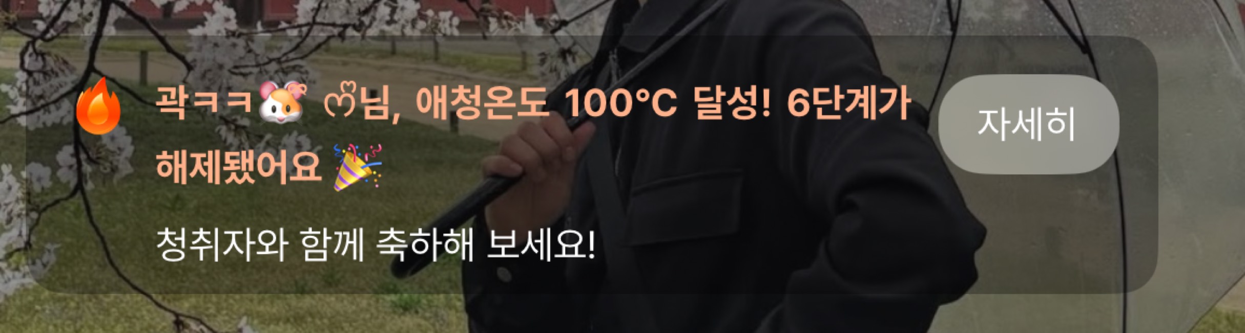 스푼은 투기장이 아닙니다.