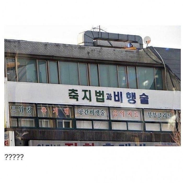 노 래 라이브