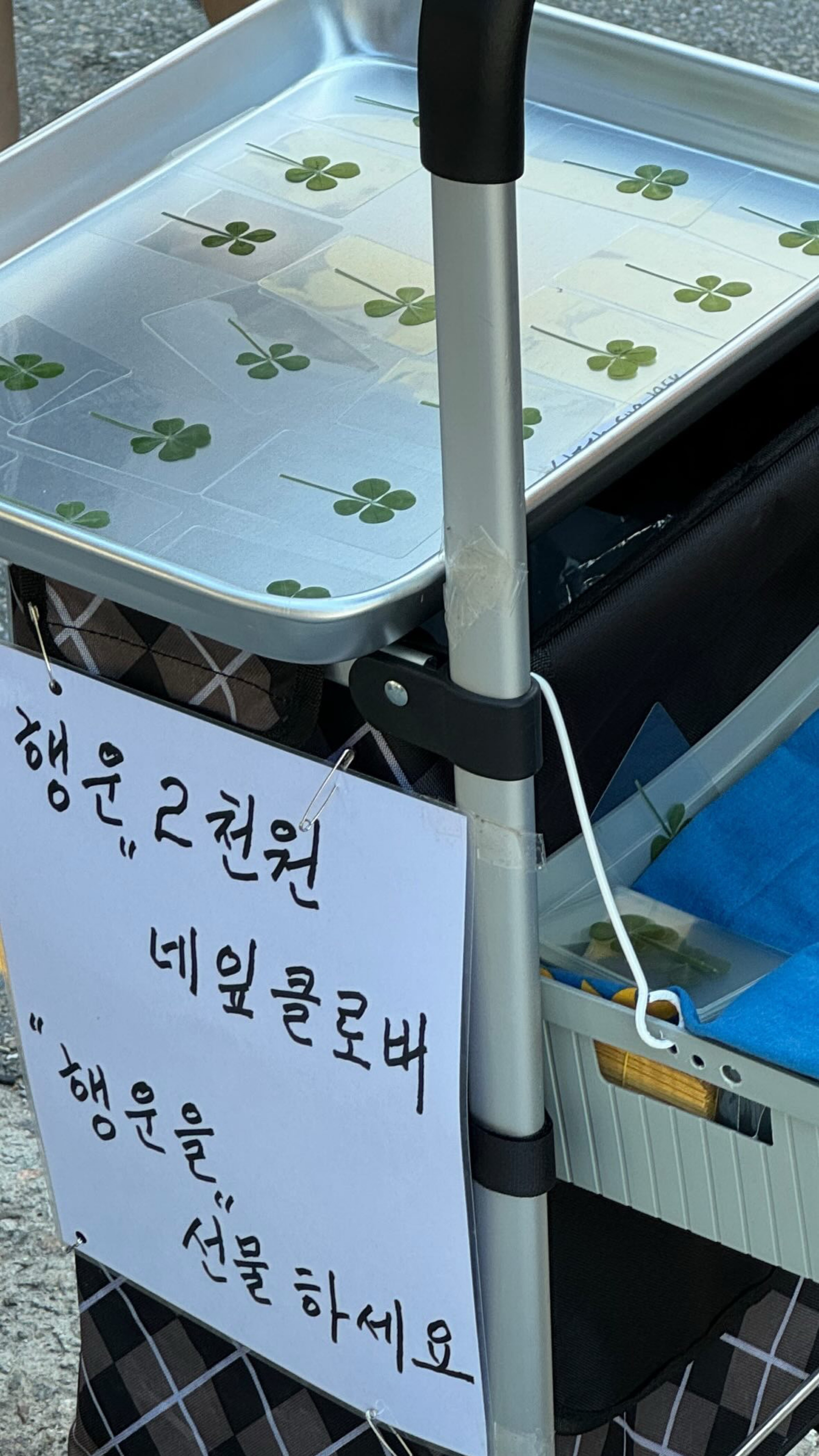 정신병멘헤라