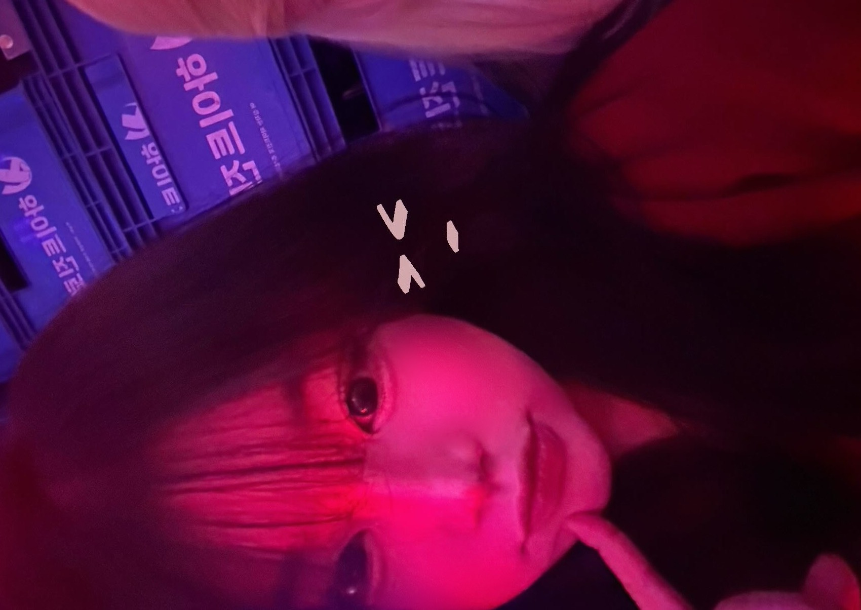 들어와라