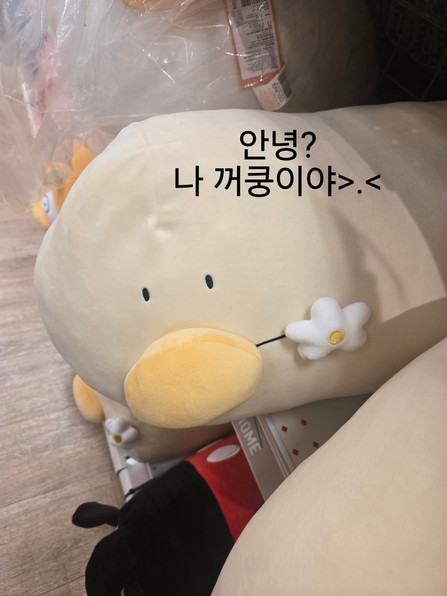 3040+) 노인공격ㄴㄴ 공경좀.👀