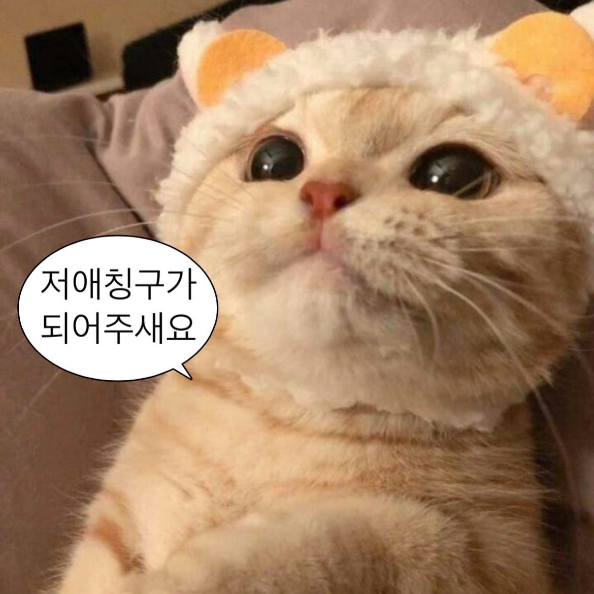 짧 방