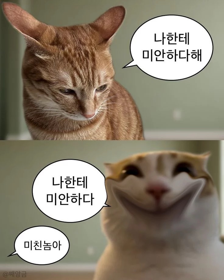 ❝ 당신의 최애 ❞