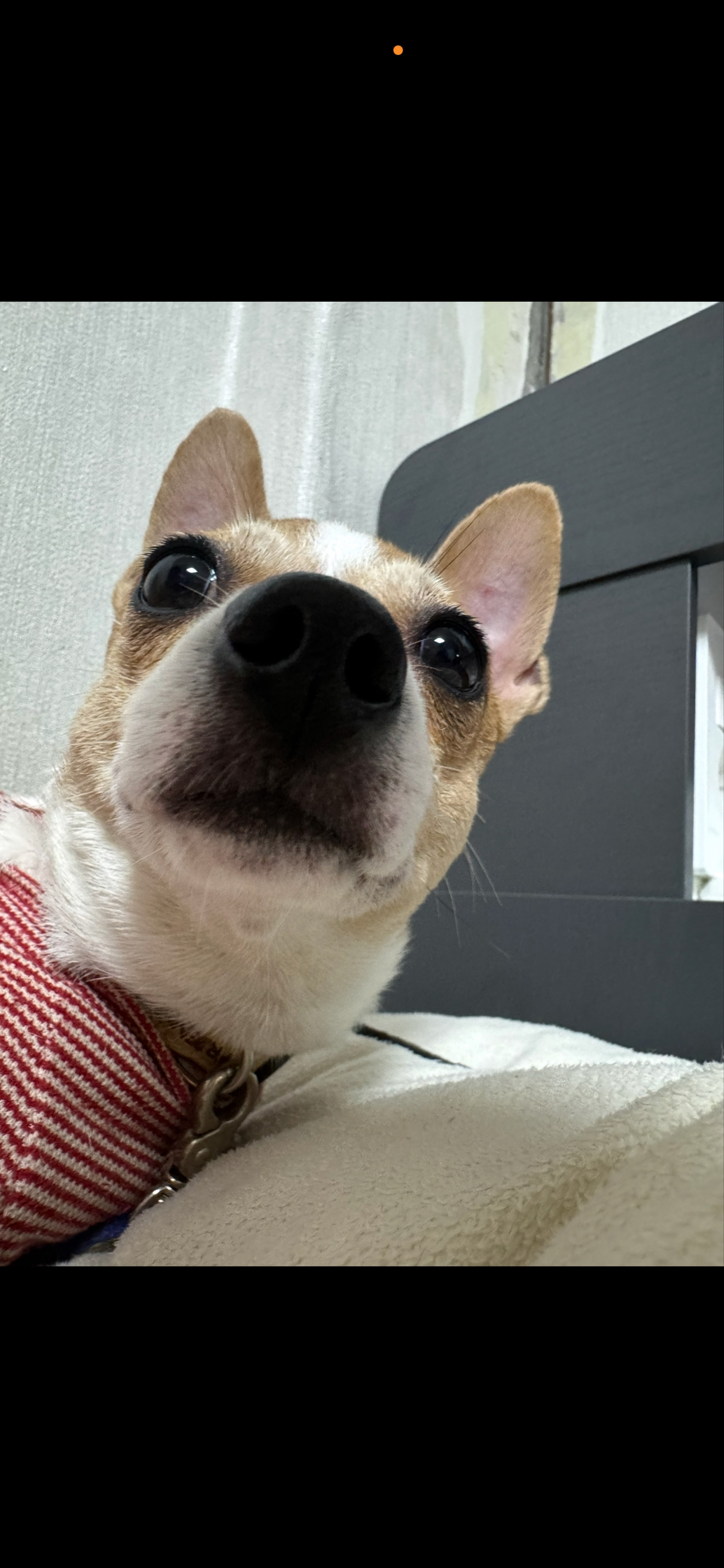 나가자