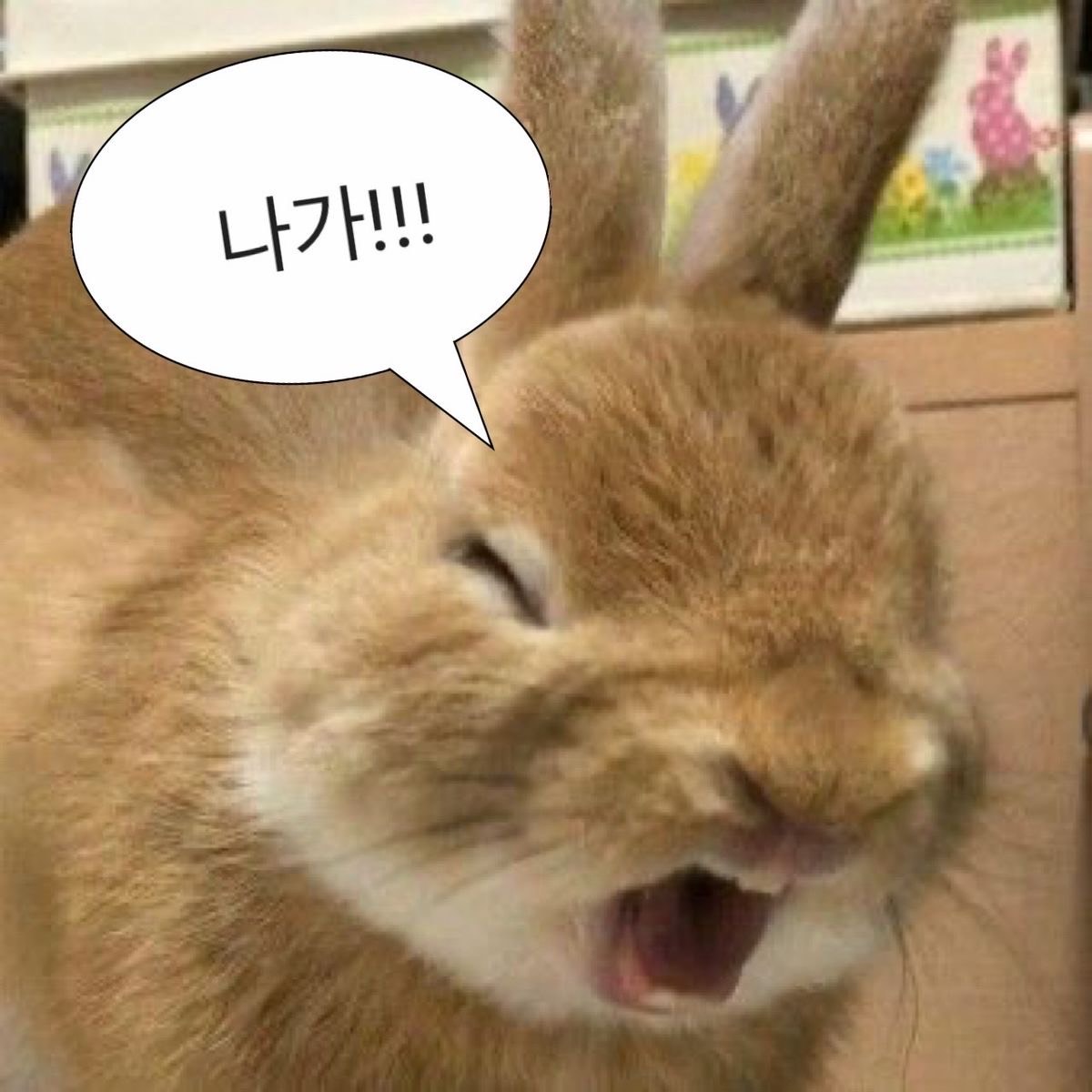 짧 방
