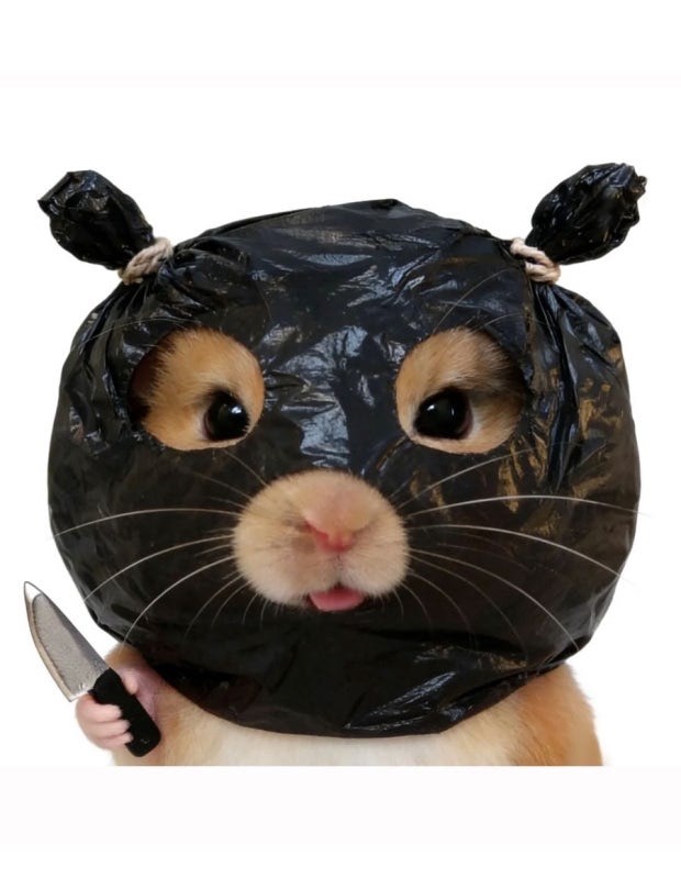 훔친 거 세장으로 새깅중 ~