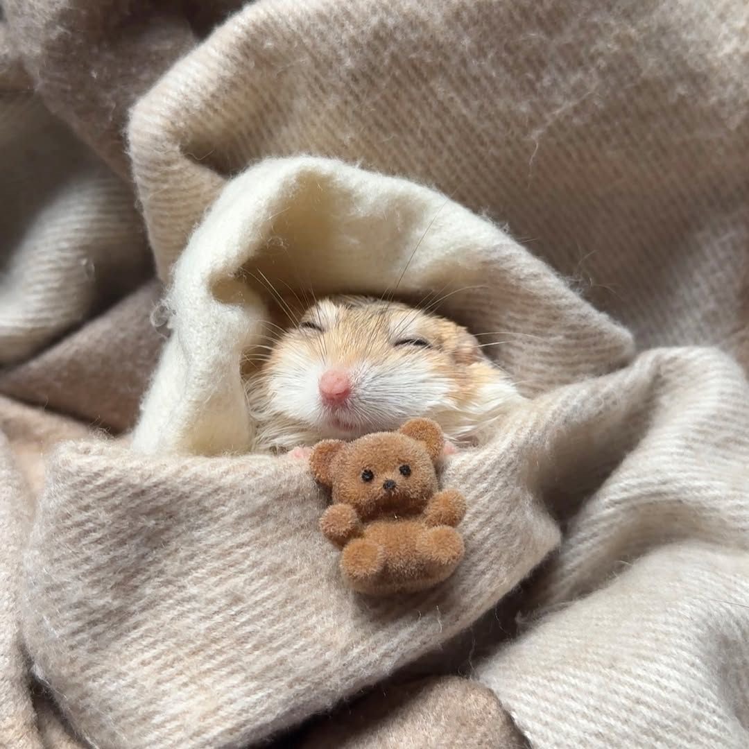 하 이