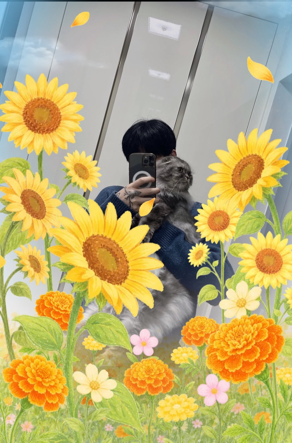 갈 곳 잃은 , 