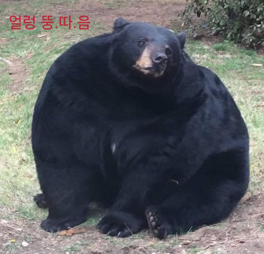 3040+) 노인공격ㄴㄴ 공경좀.👀