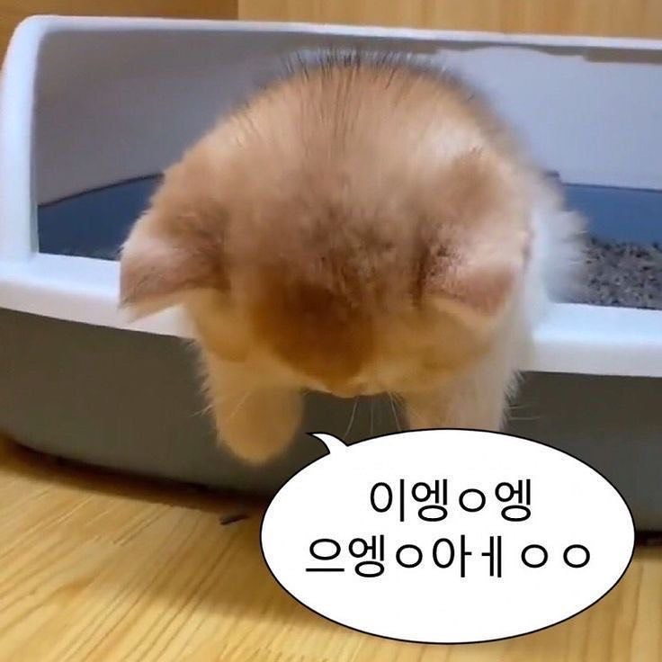 하 이
