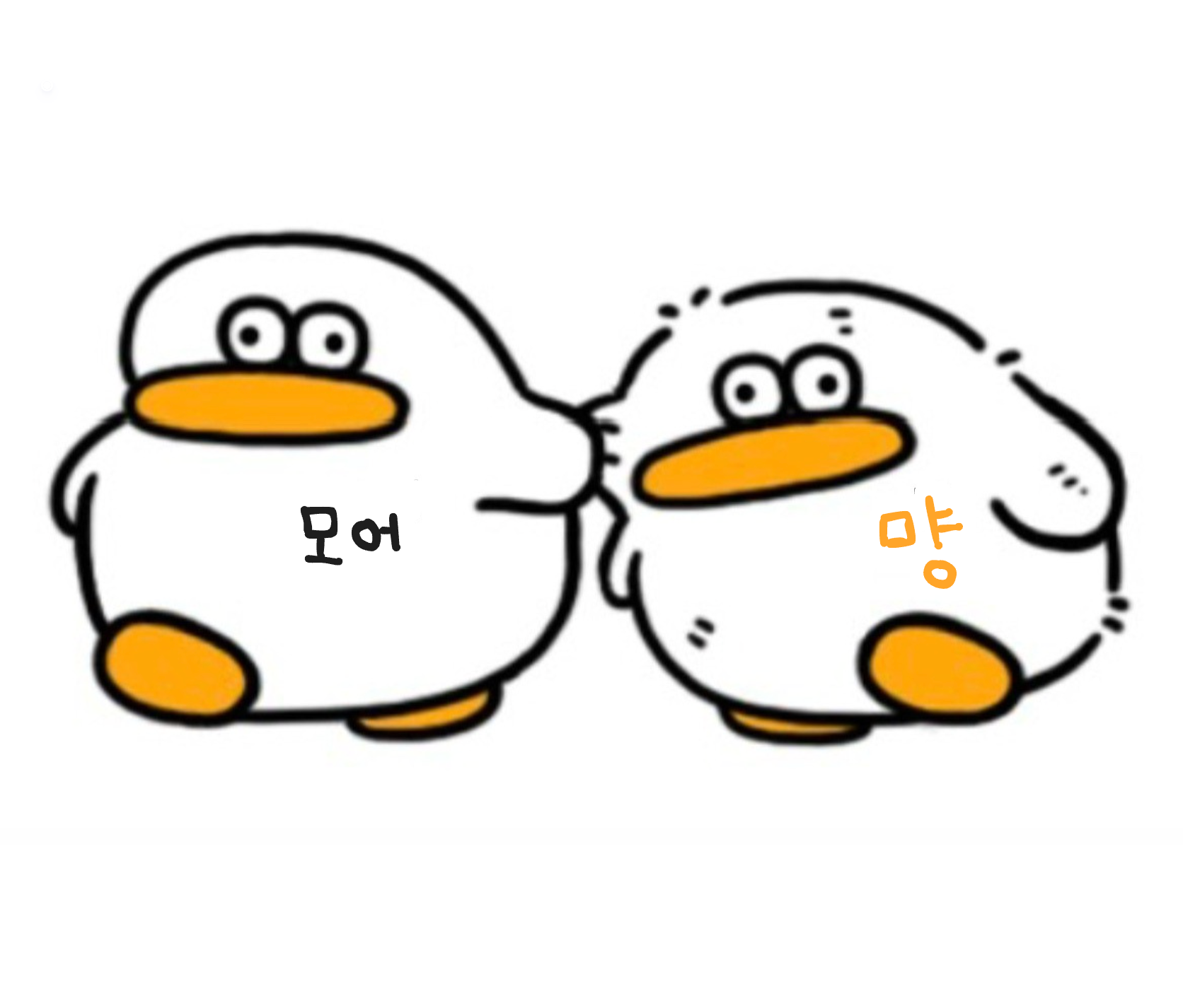 갈 곳 잃은 , 