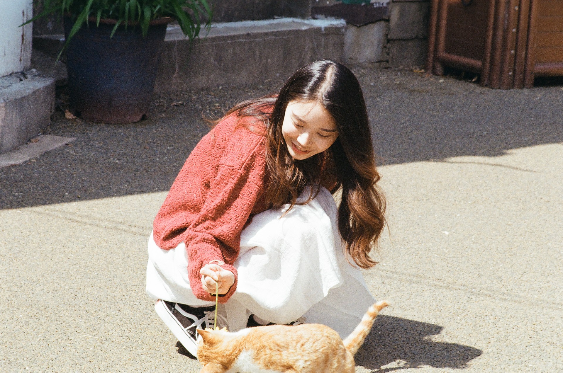 더 워 !