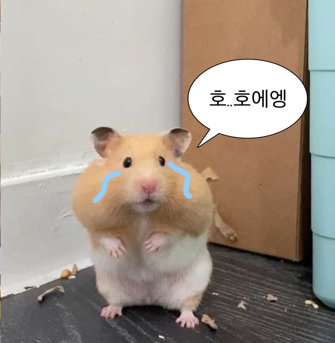 하 이