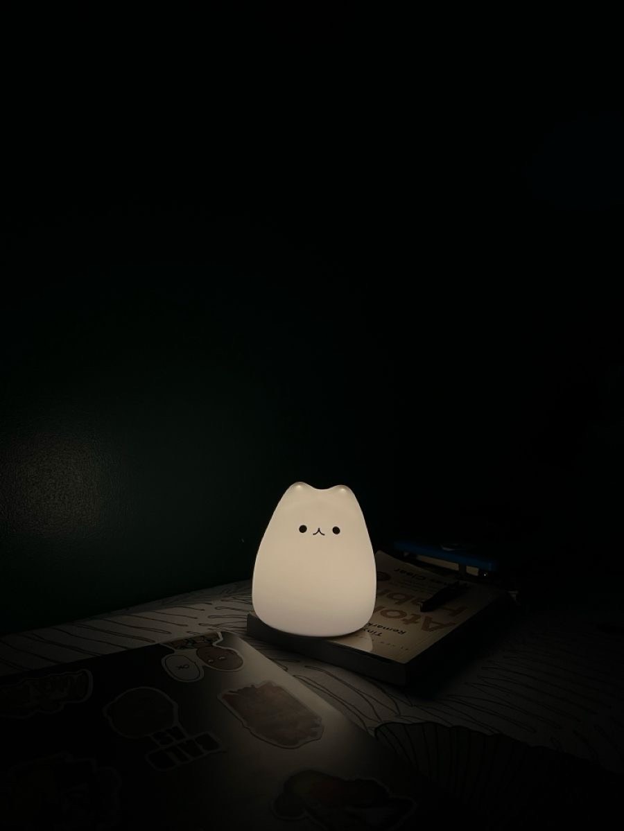 음 오늘은 기분이꿀꿀하다