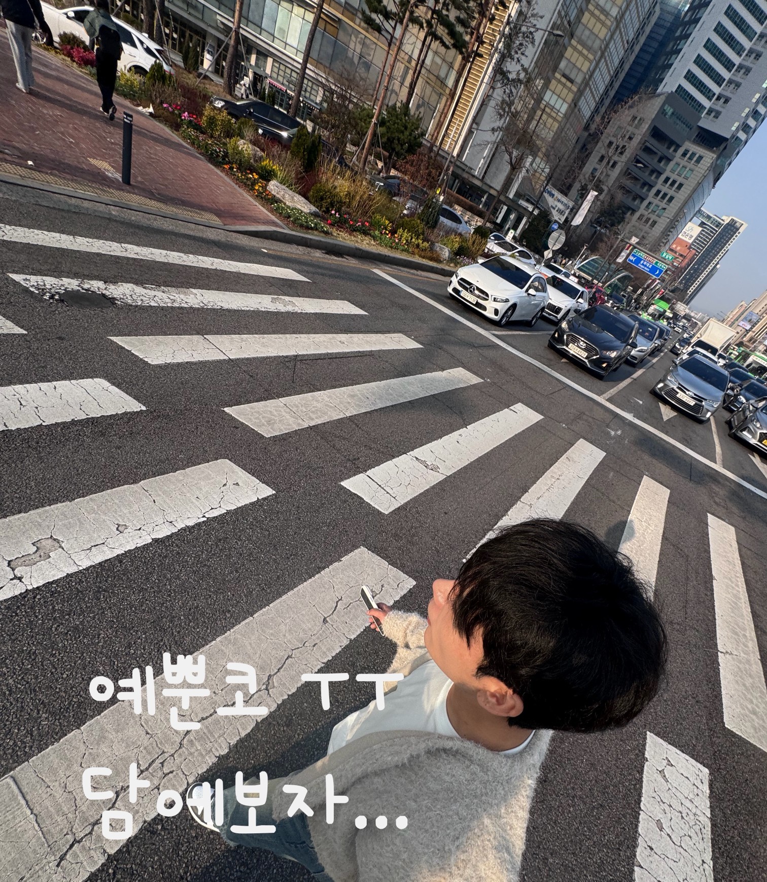 고래잡다가 언제오니..?