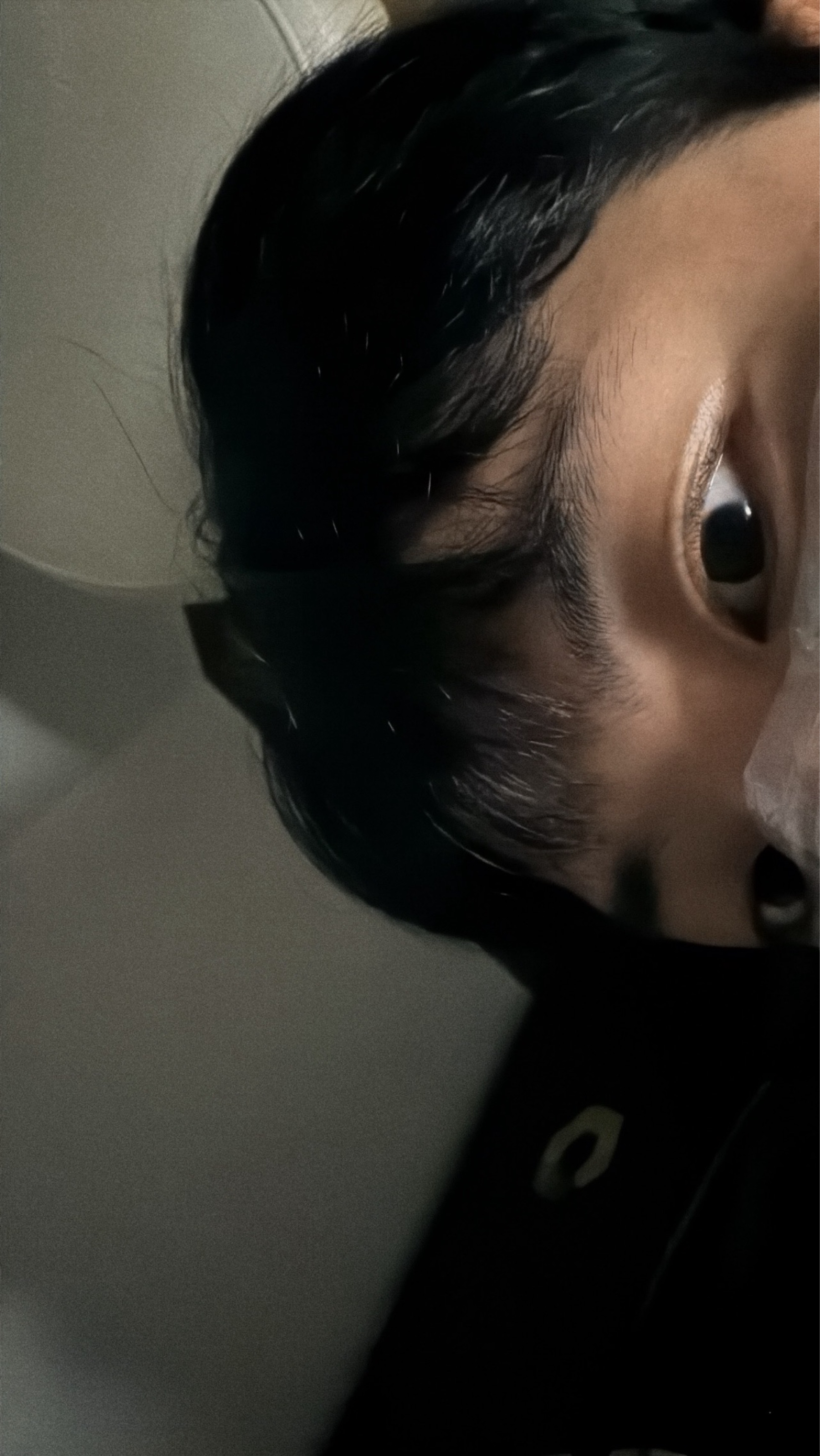 앙기모딱스북스딱스