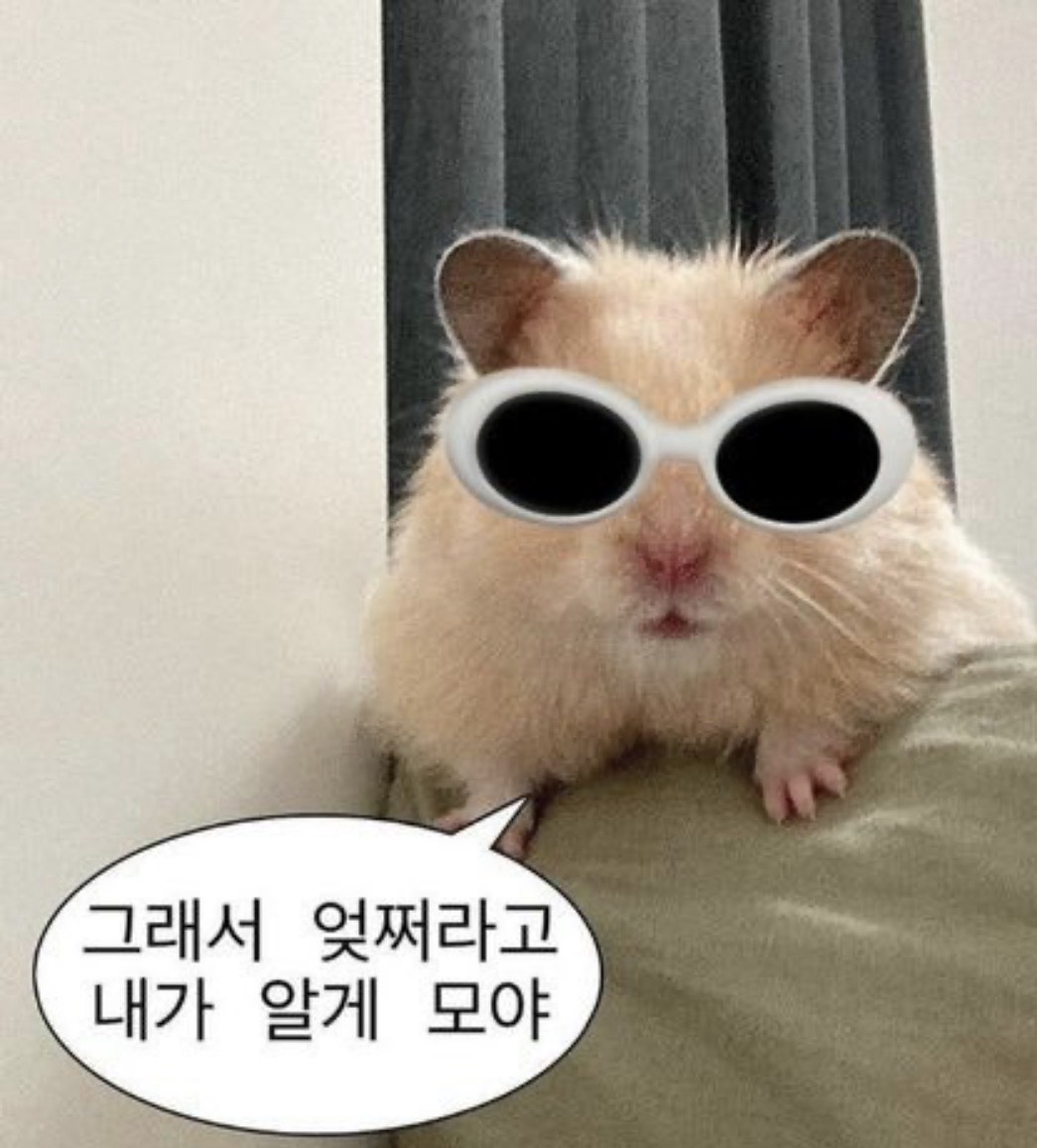 03남) 와라 빨리 ! 콱그냥 !