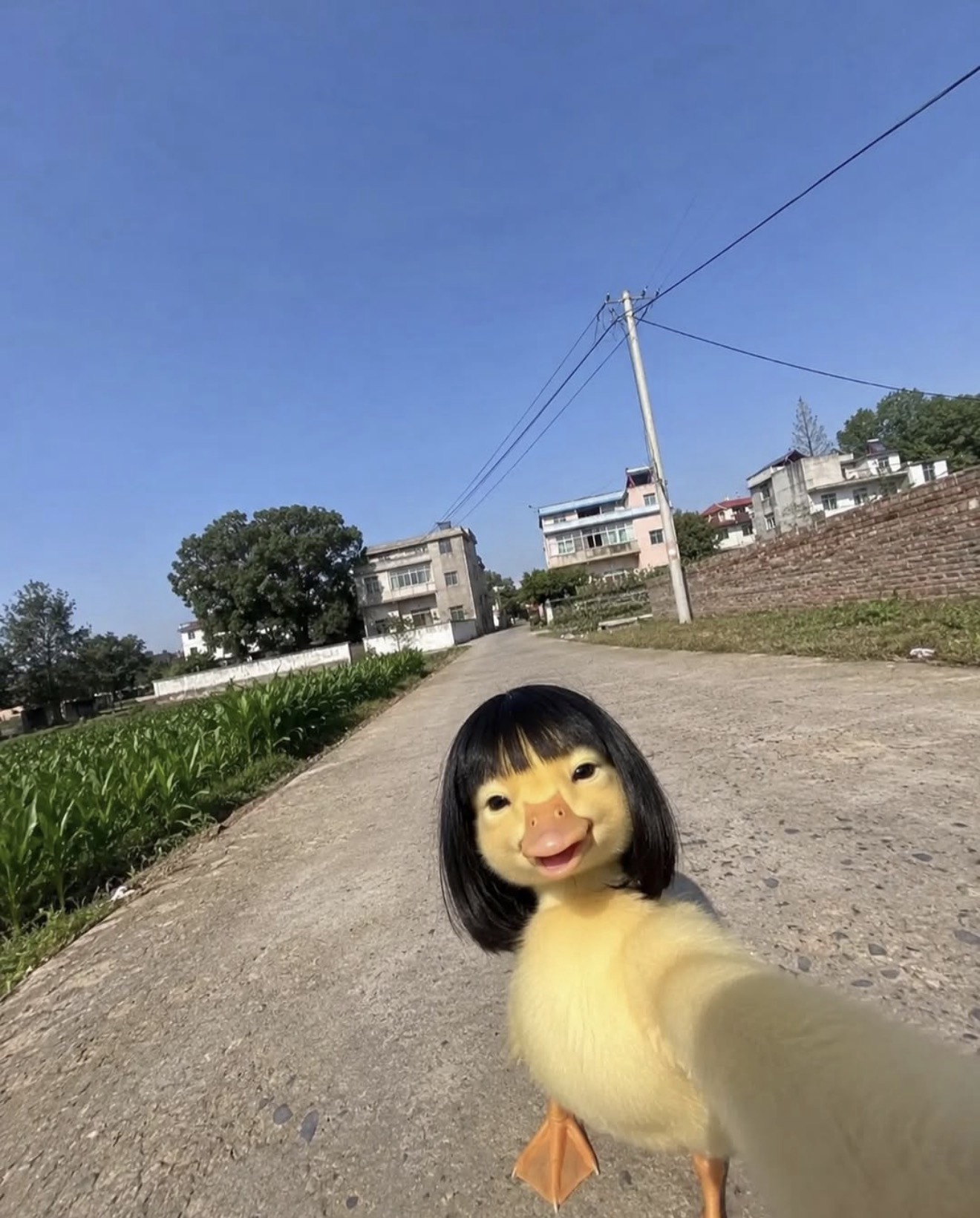ㄹㅇㅂㅋ