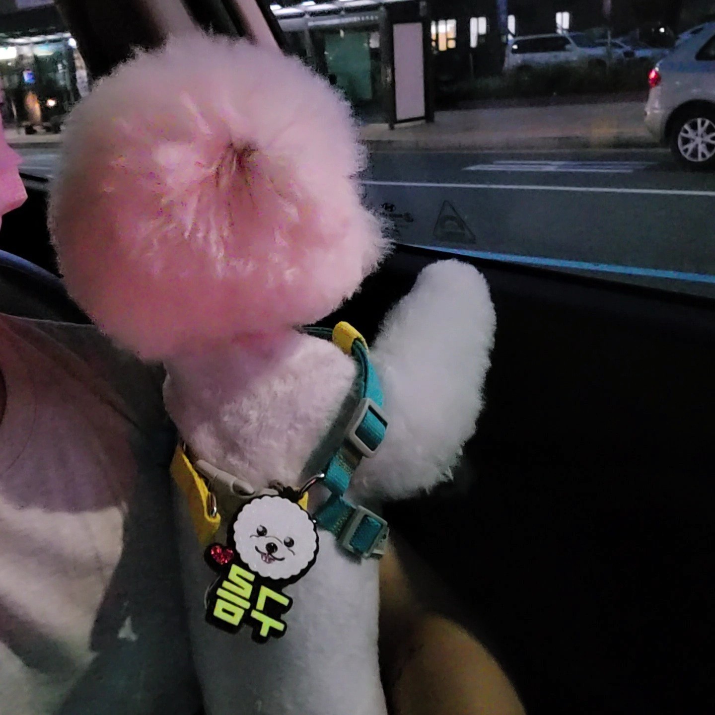짧 막 적 역 해 명