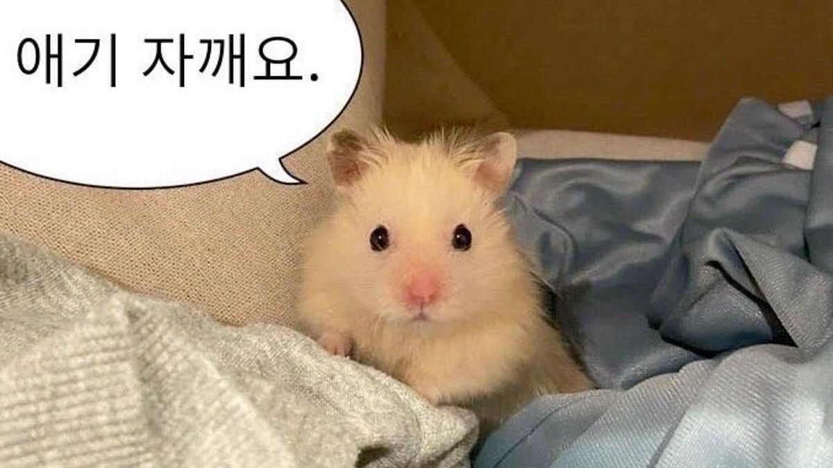 낚 시 플 리 잠 방 😏