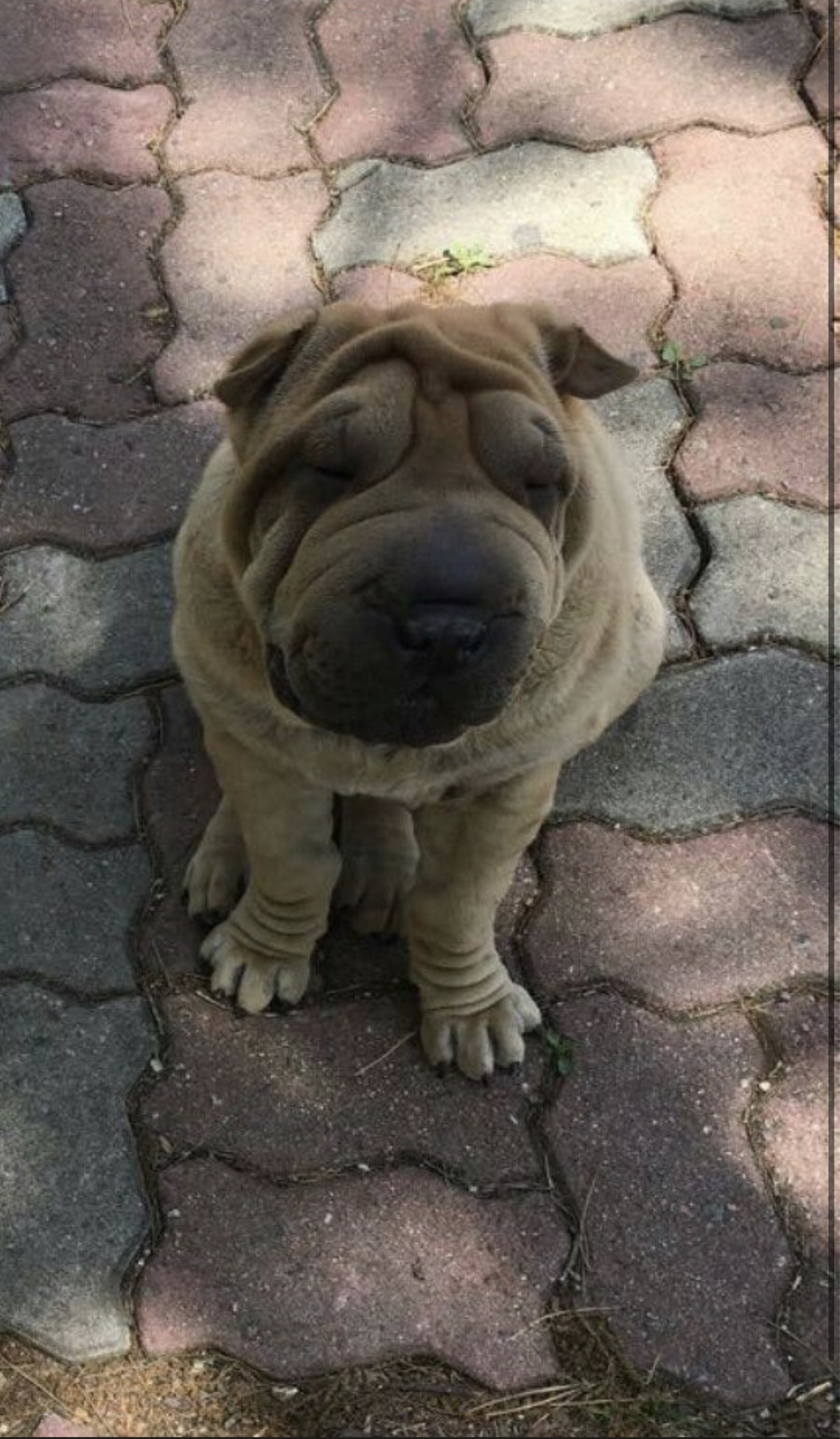 라이브콜ㄱㄱ