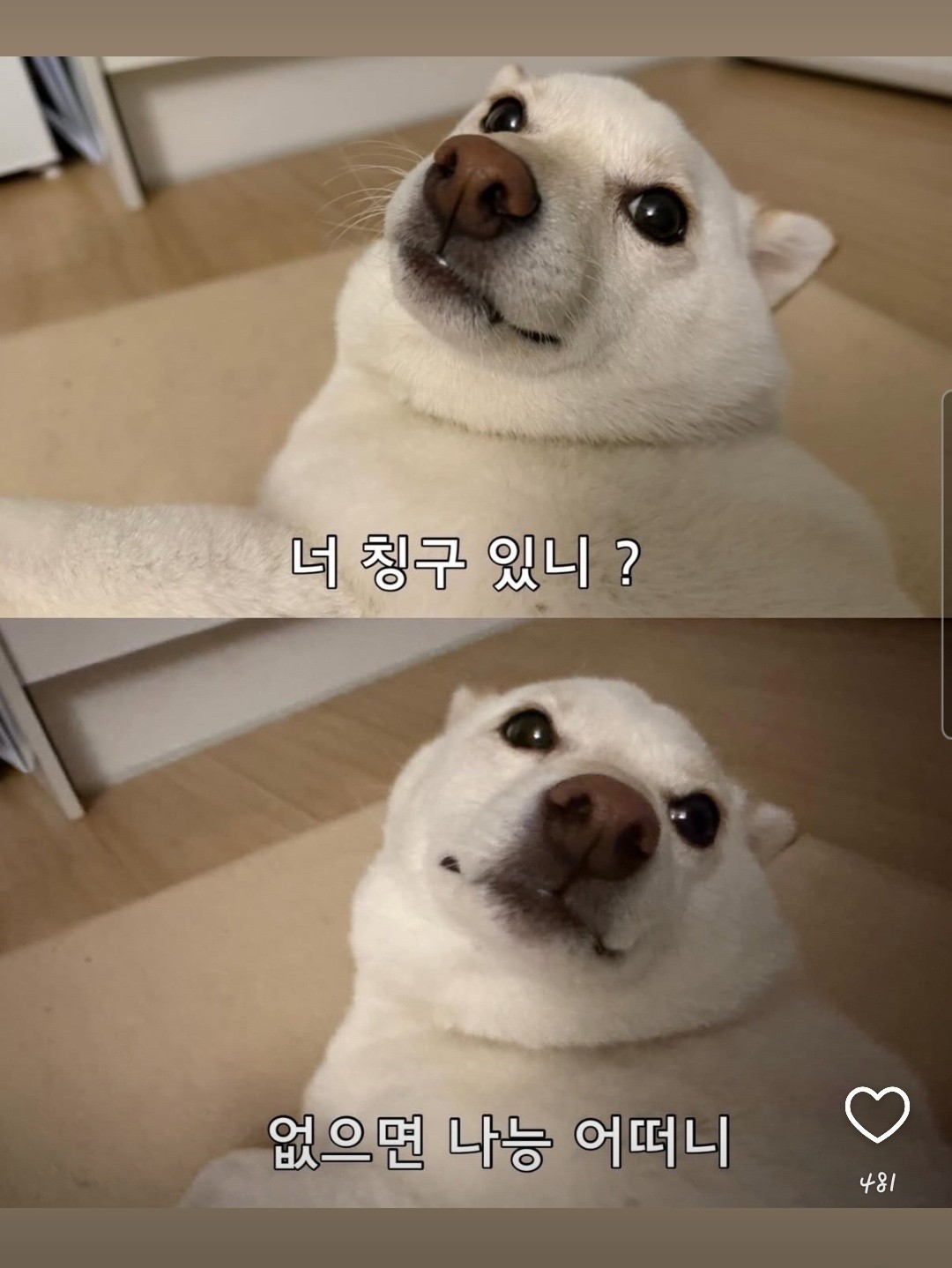 짧 막 적 역 해 명