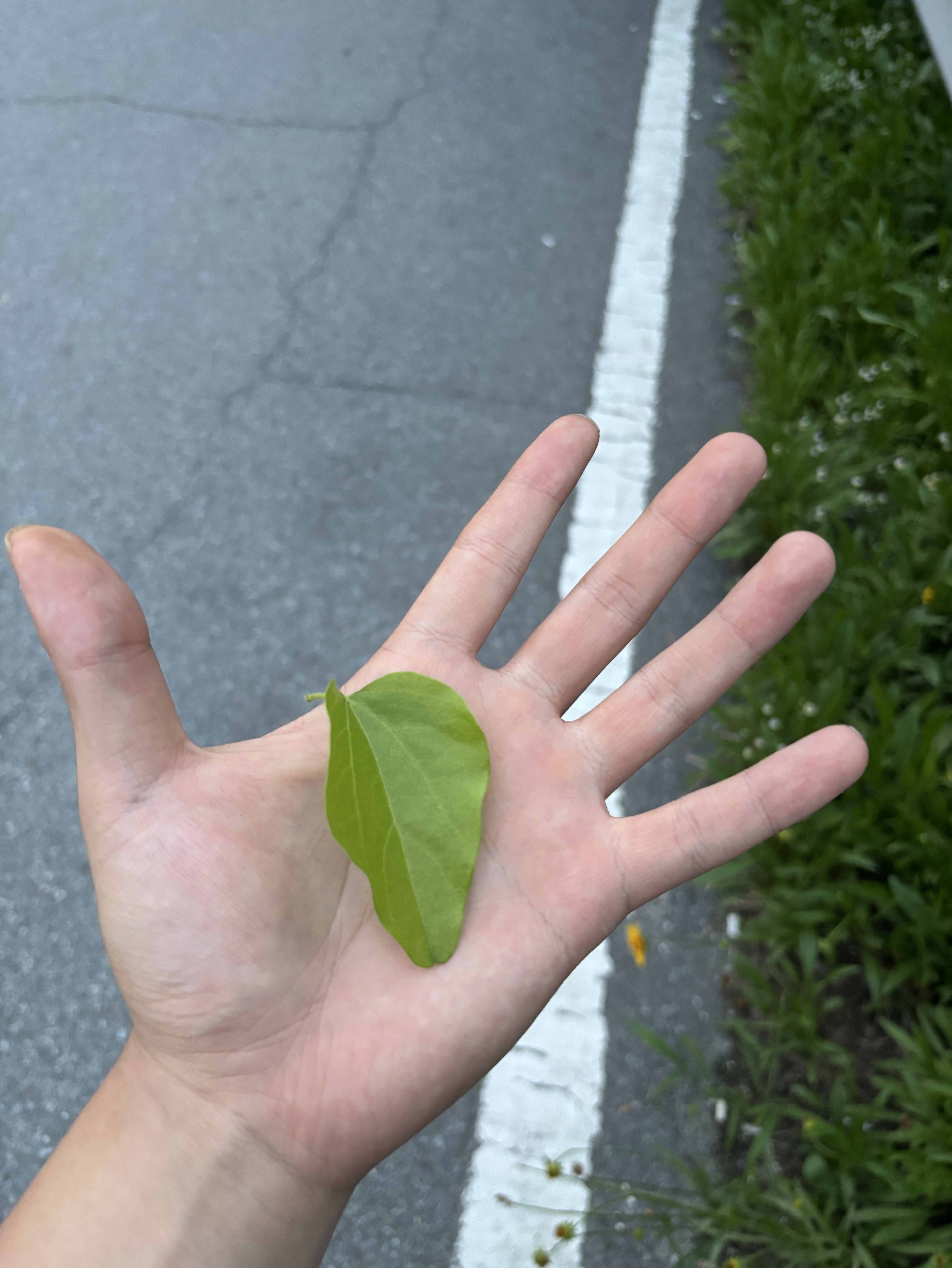니 얼굴~ 