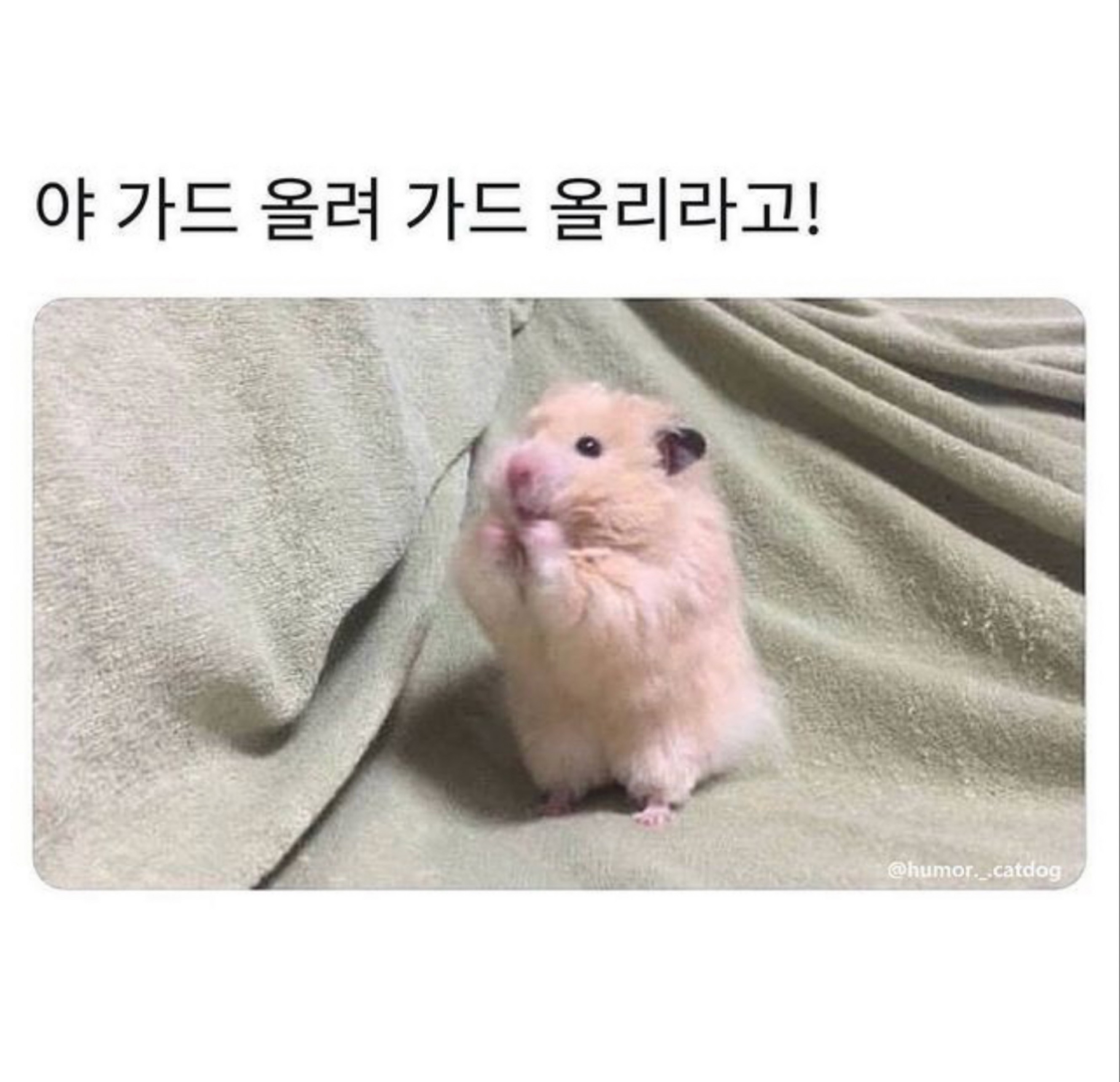 만두는 사랑입니다 3040+
