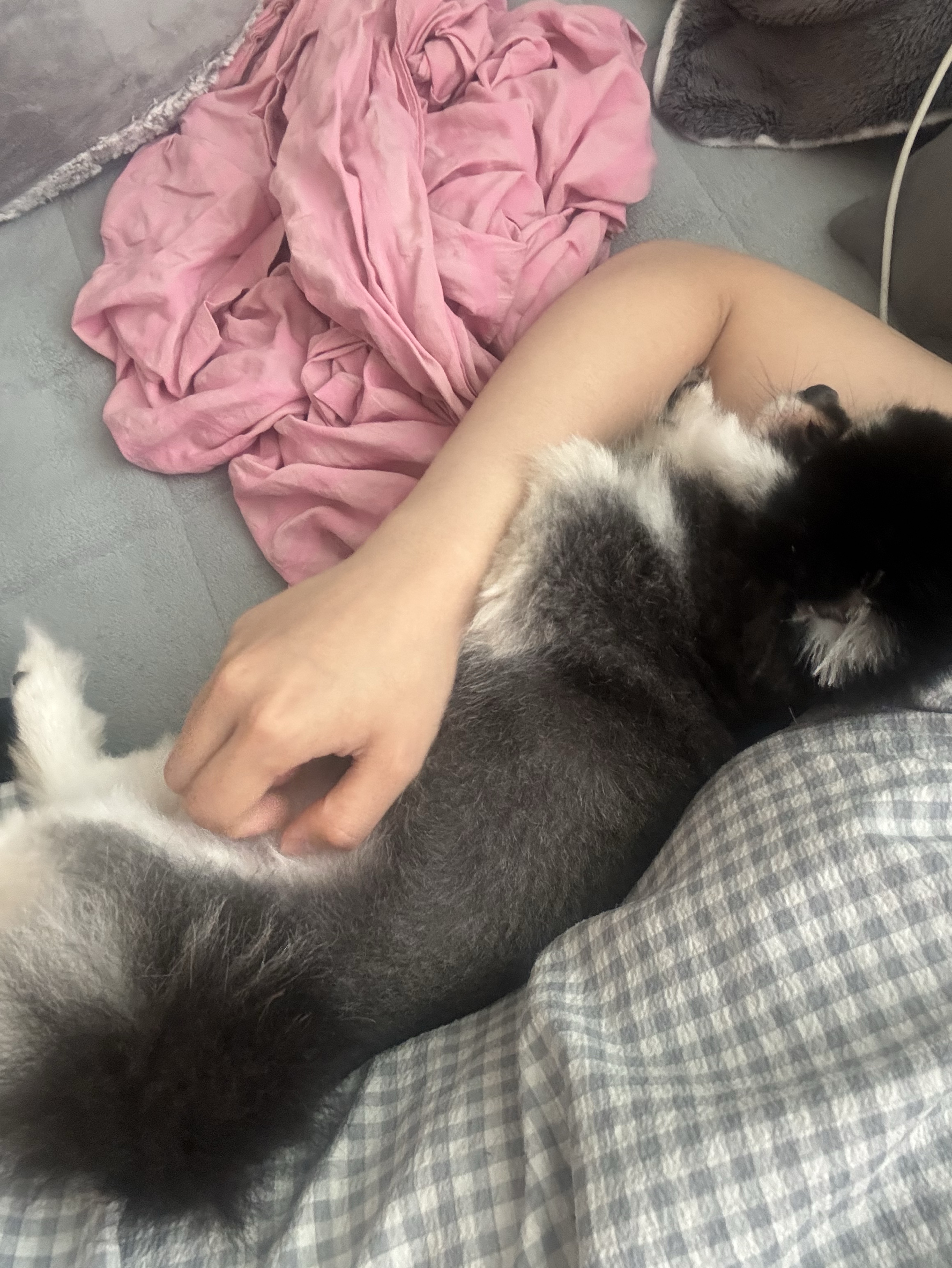 난 일할테니까 넌 채팅치는거야