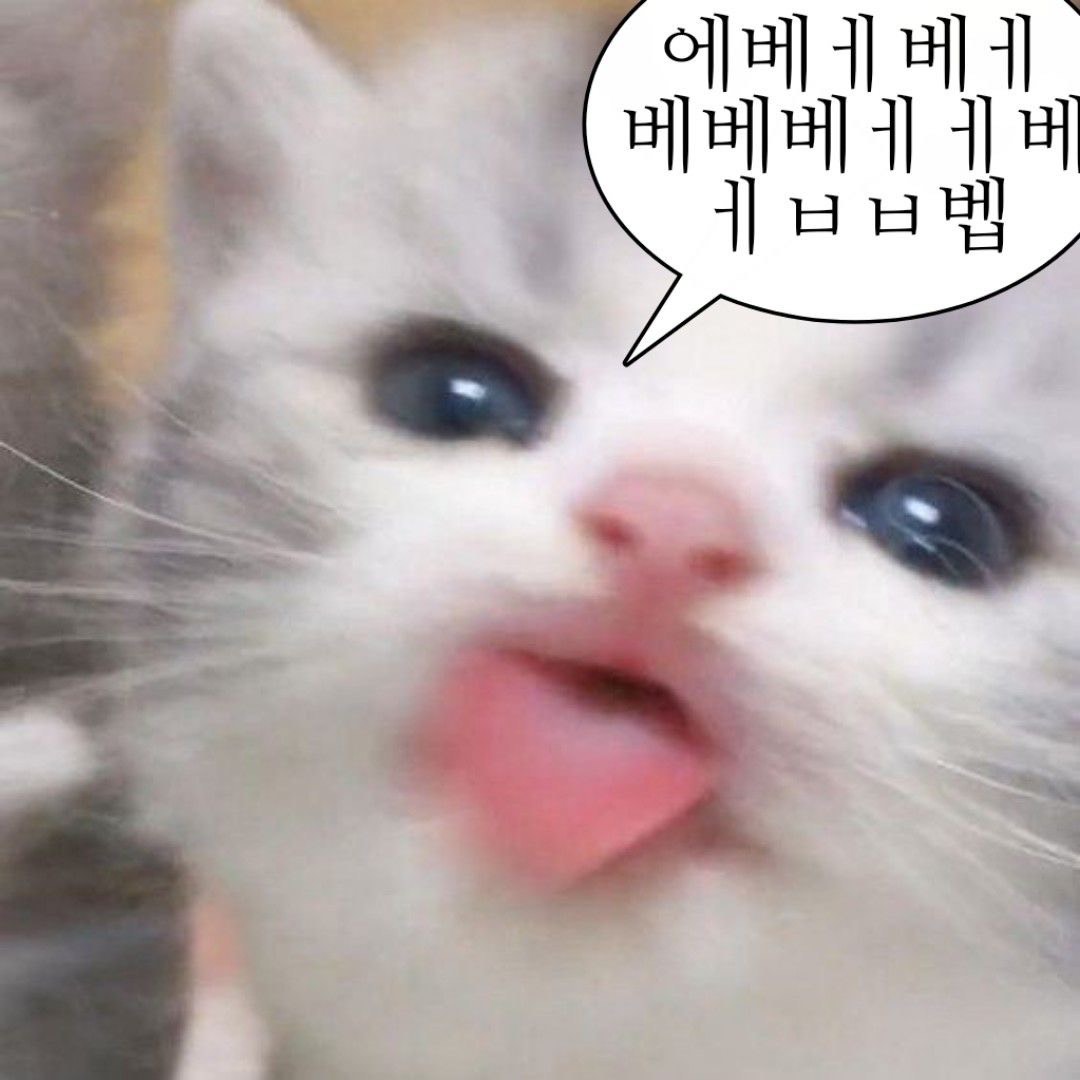밤에 김놀앙이 왔으니 얼마나 좋겠어
