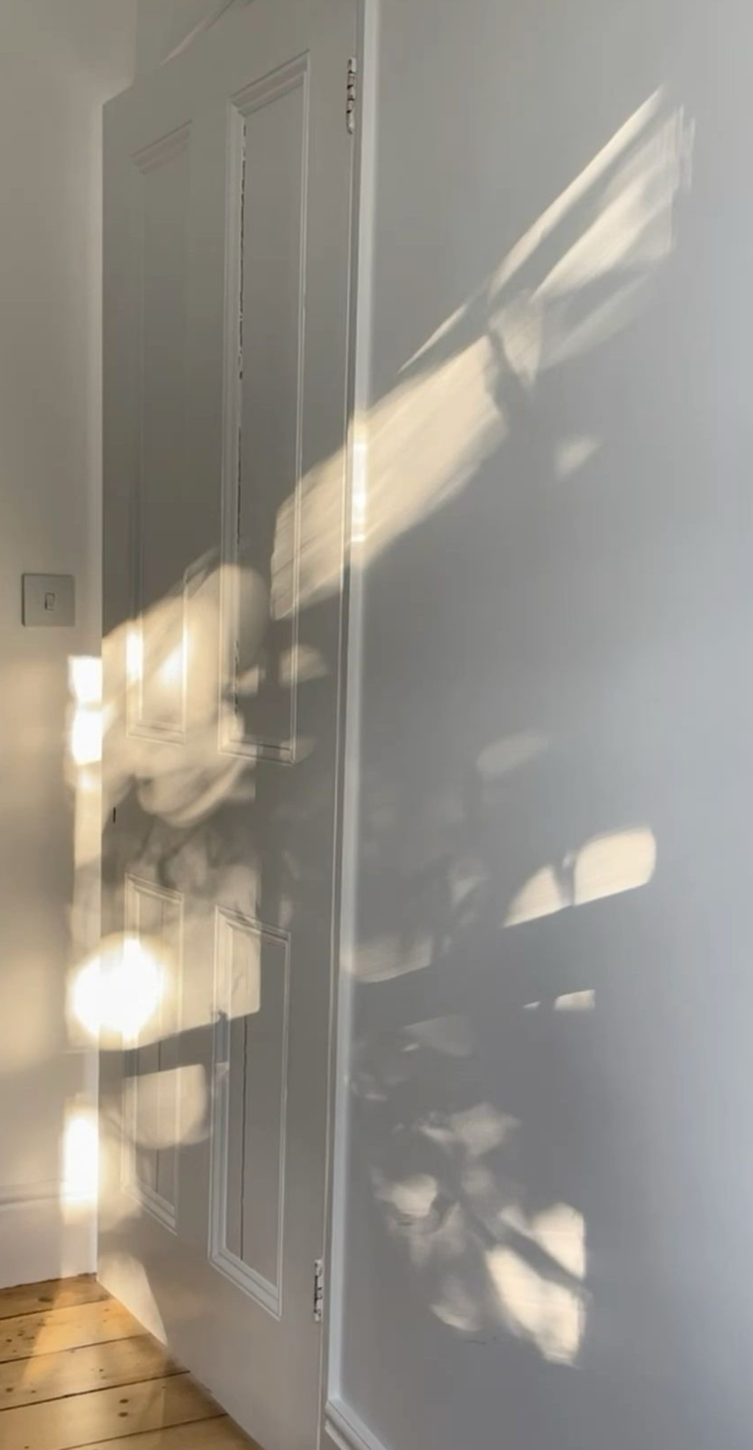 𝘭𝑒𝑡 𝘫𝑢𝘭𝑦 𝘣𝑒 𝘫𝑢𝘭𝑦