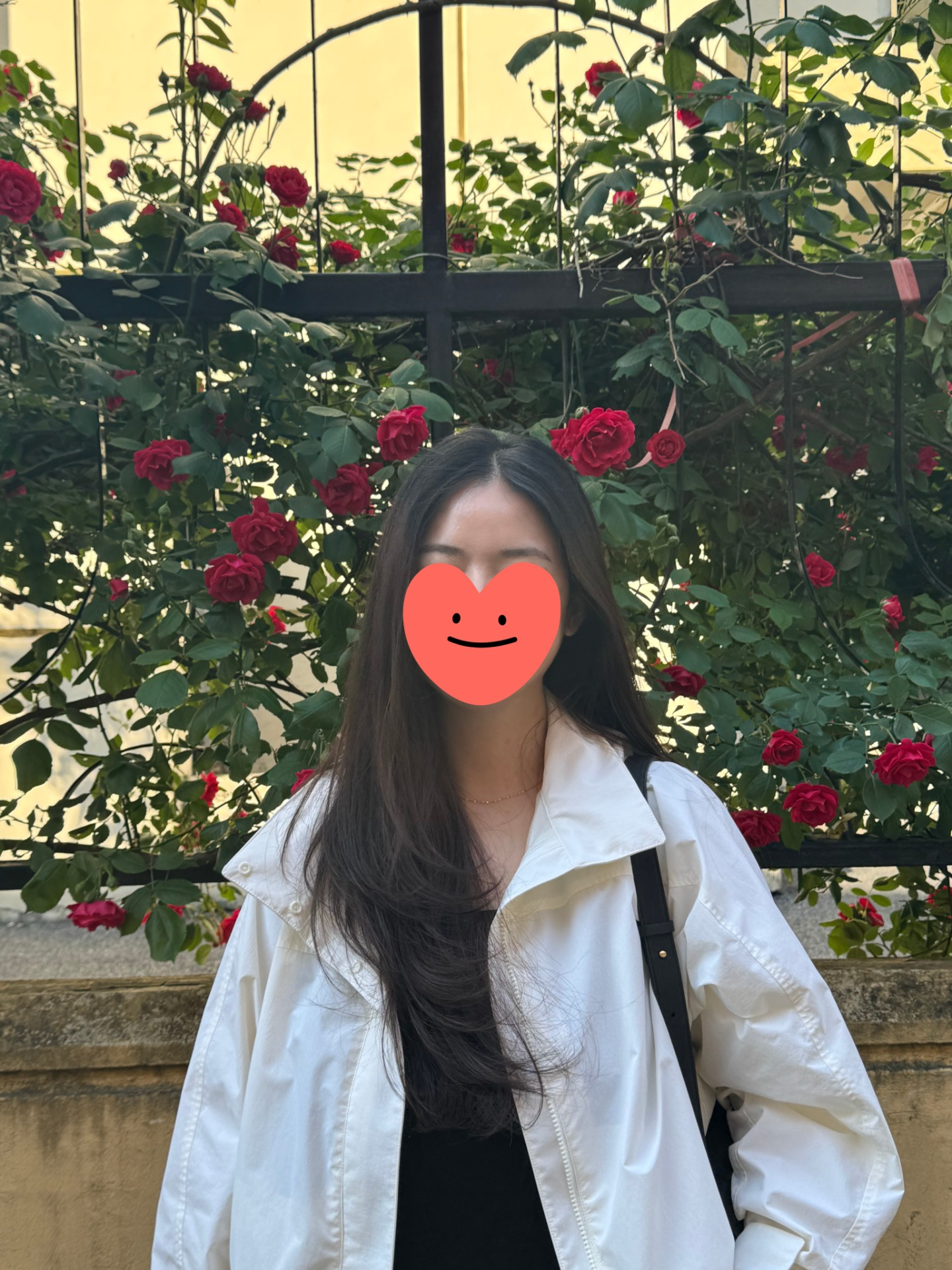 노래함나무,
