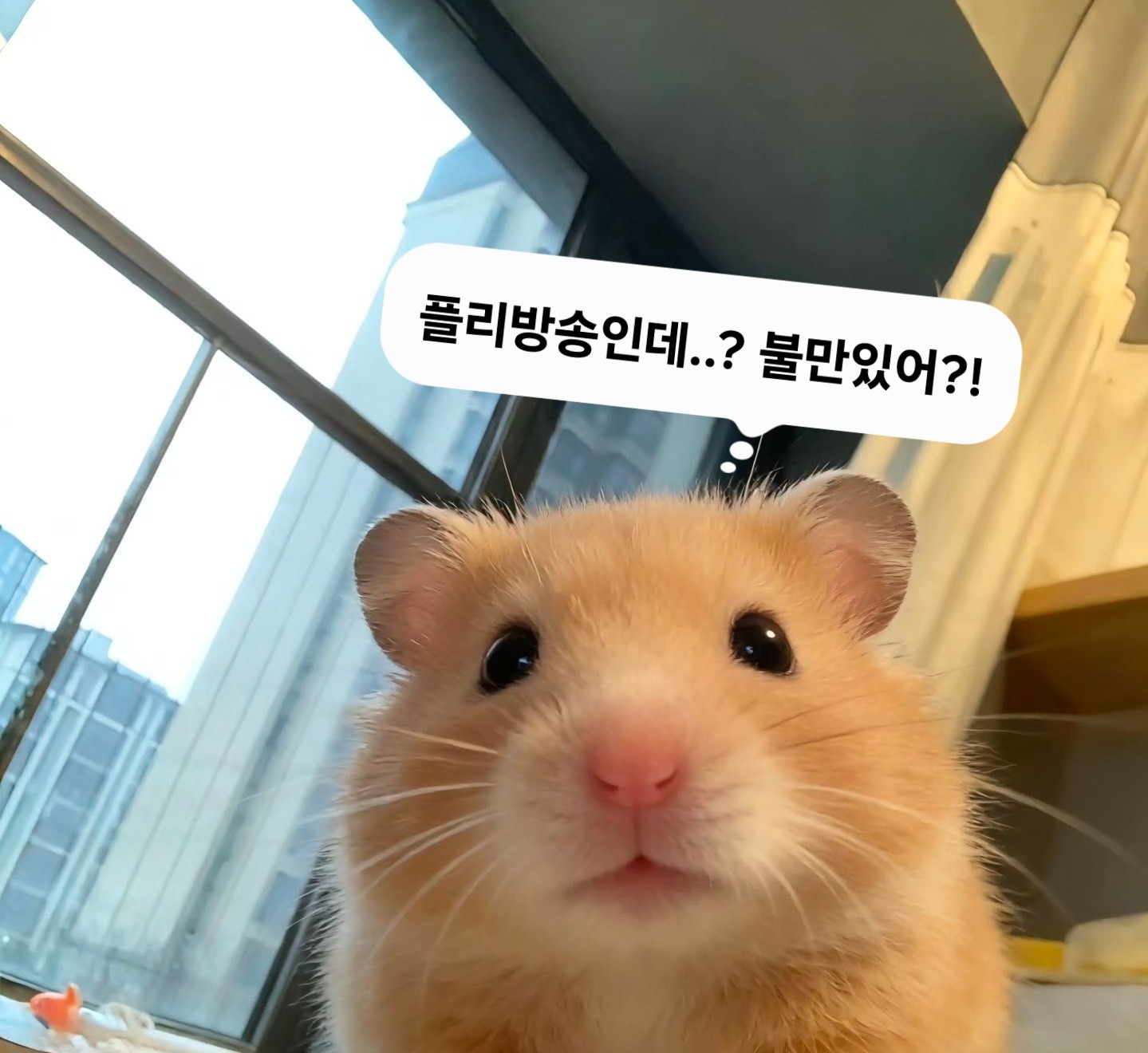 ＃수고하셨습니다 ＃플리