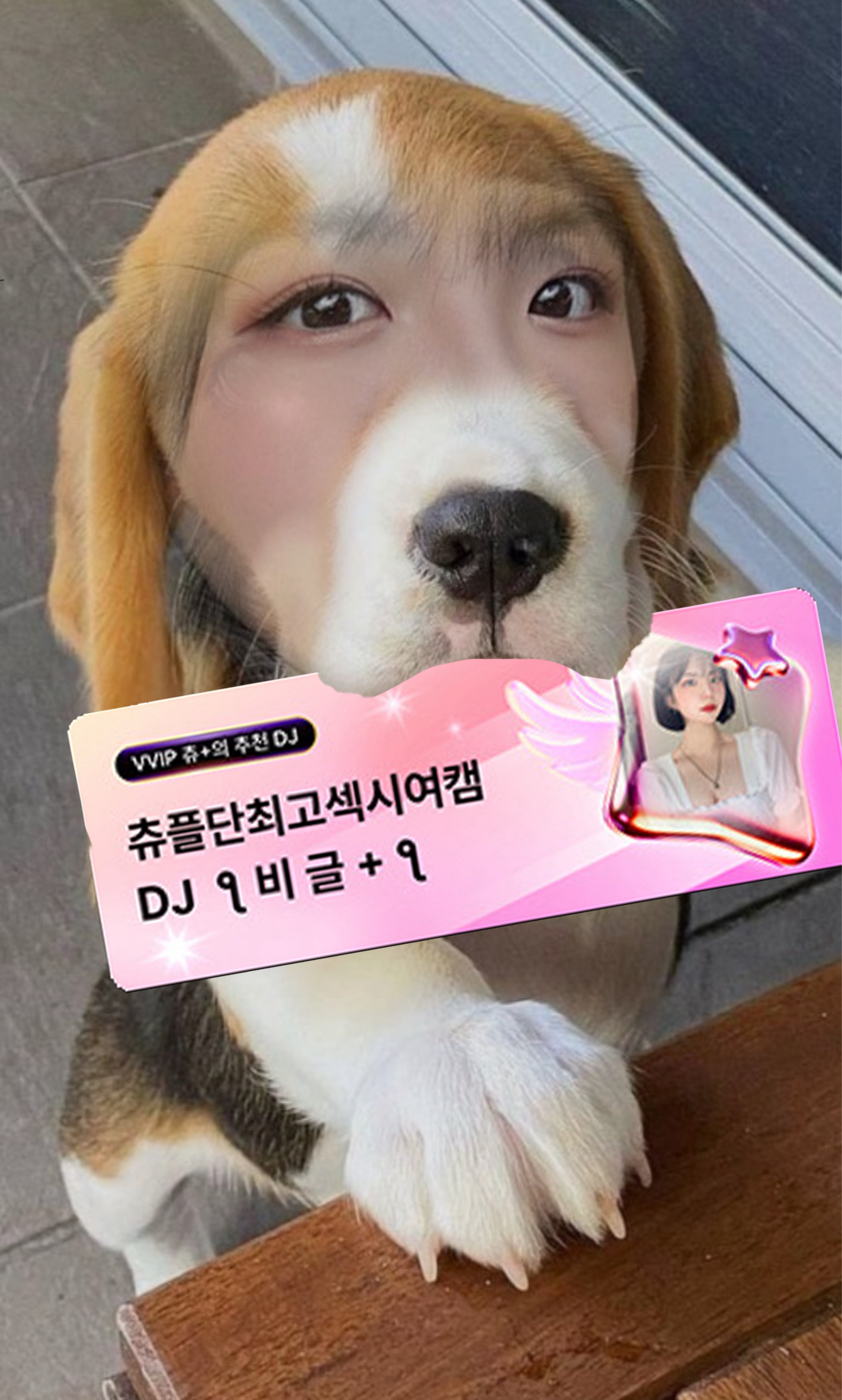 나 생일이야!!!🎂