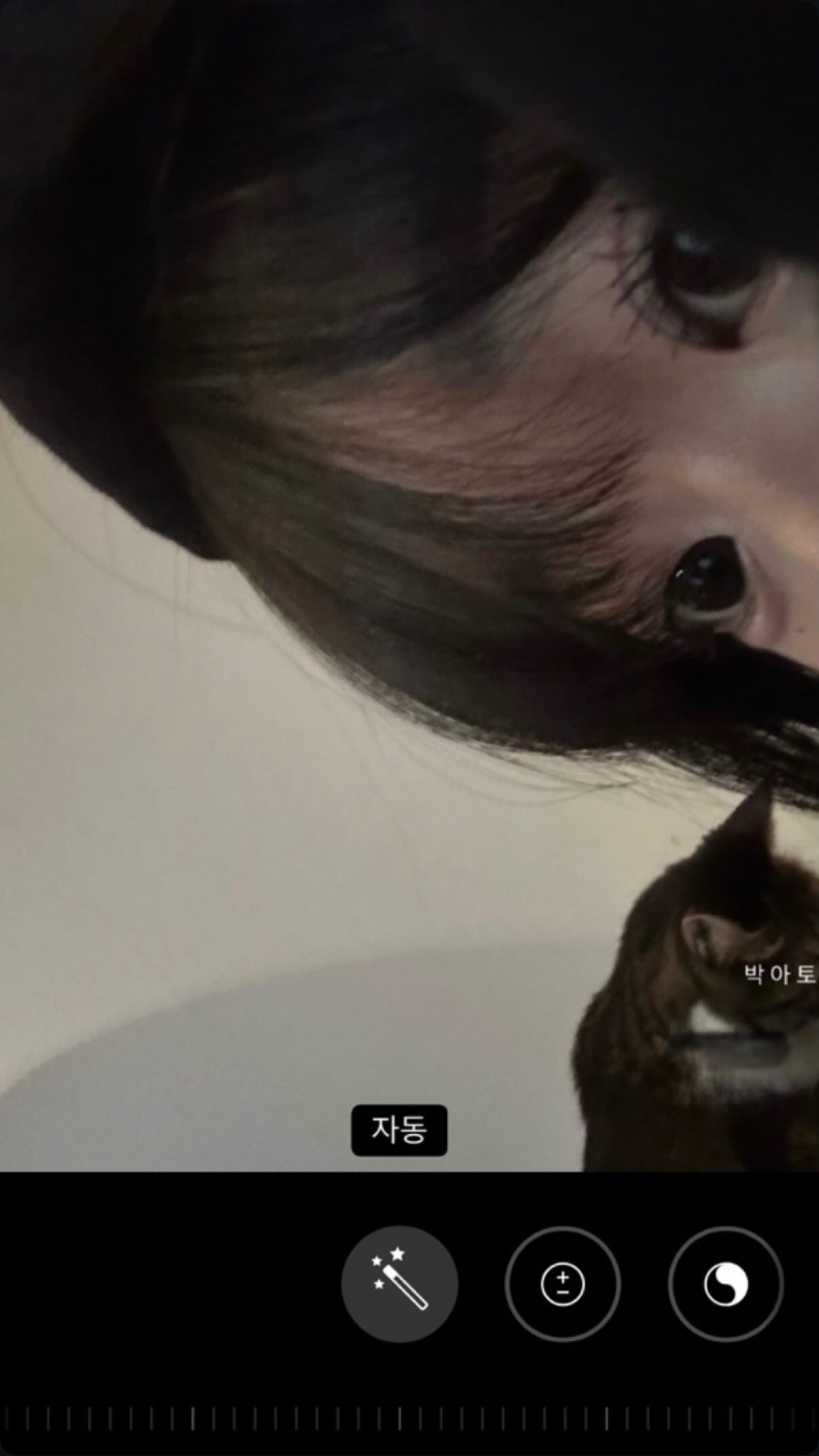 니네랑안놀아.