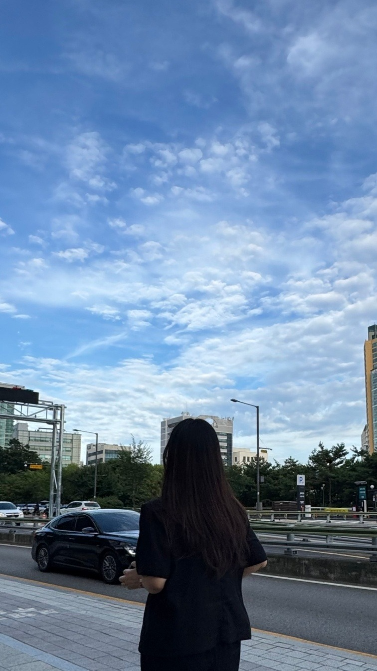 노래함나무,