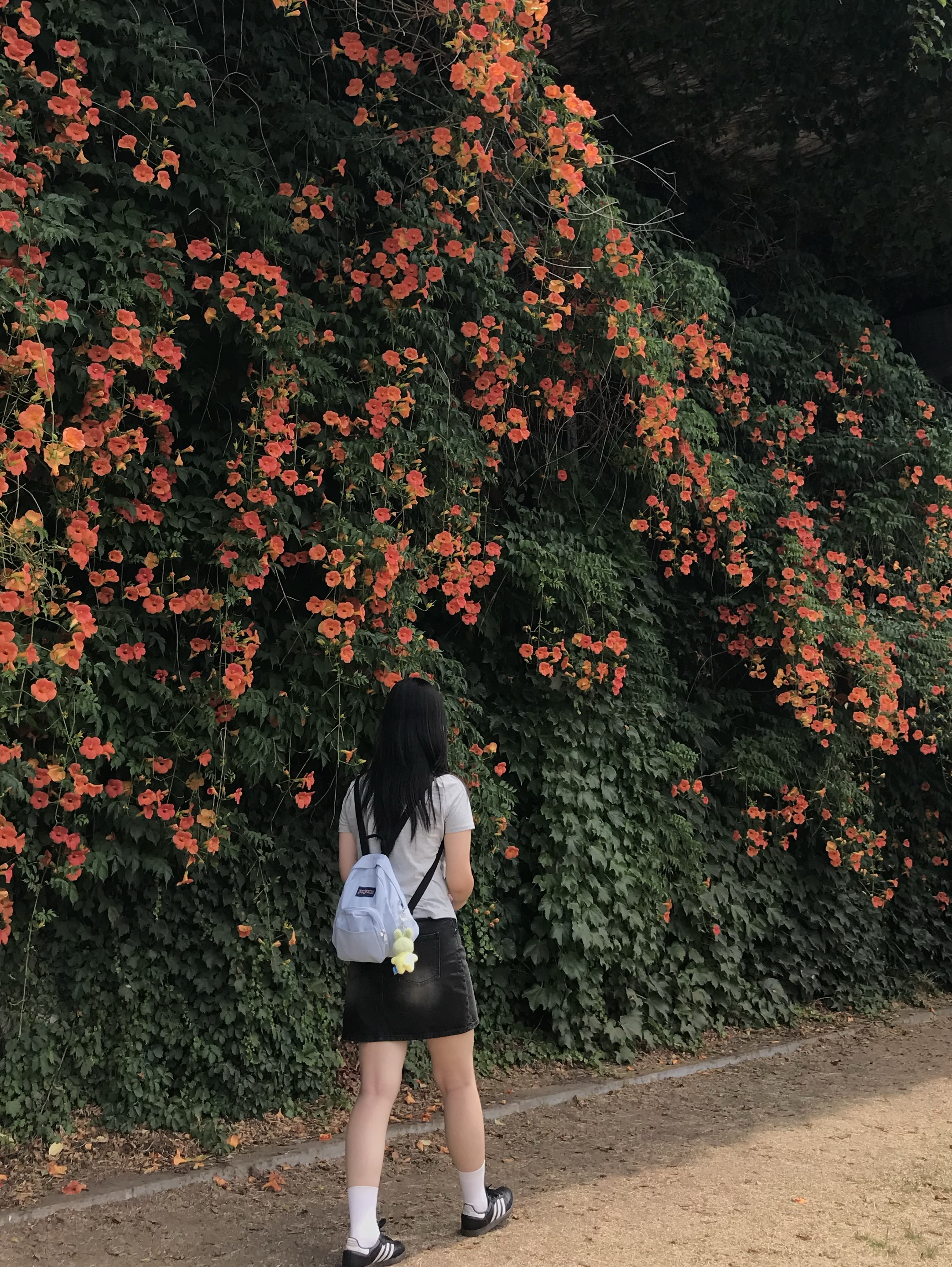 오세요 오세요 오세요