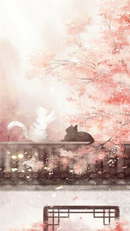 플리 라콜방!