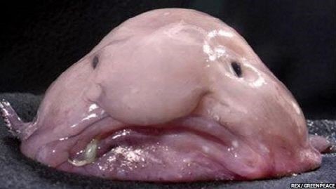자고 싶어 진짜로