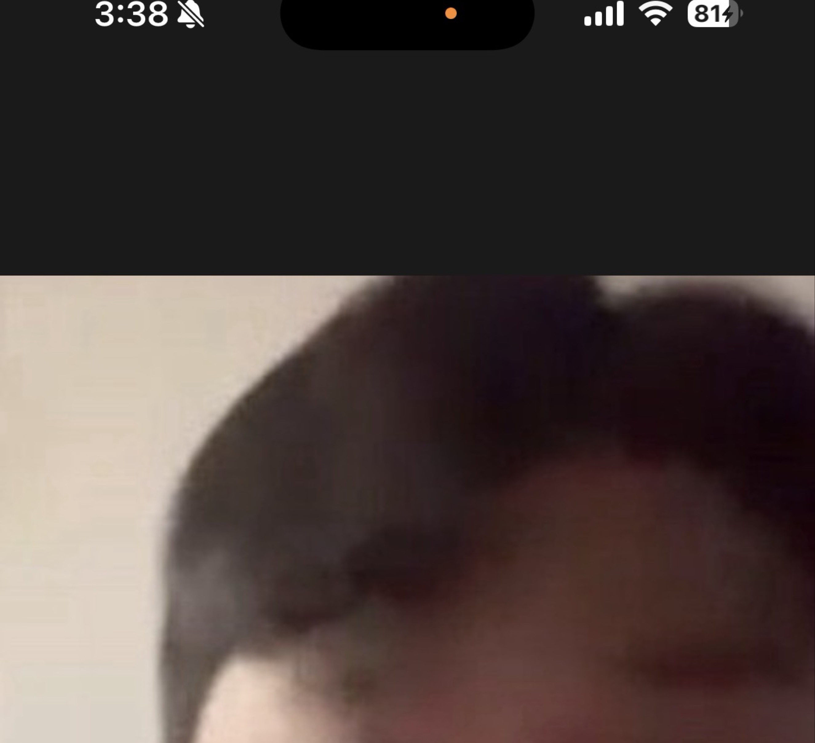 비타민을 찾습니다