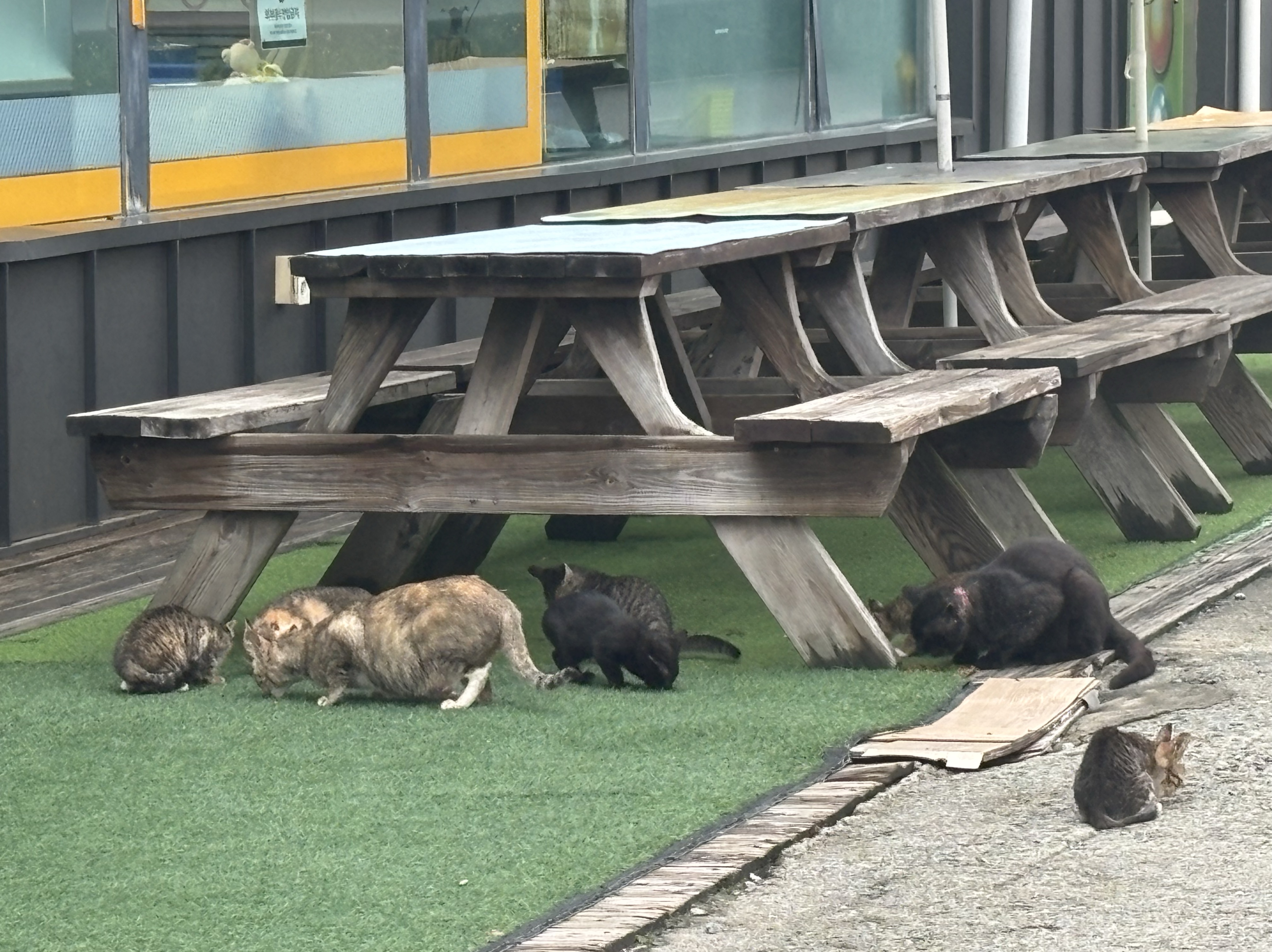 일 상 공 유