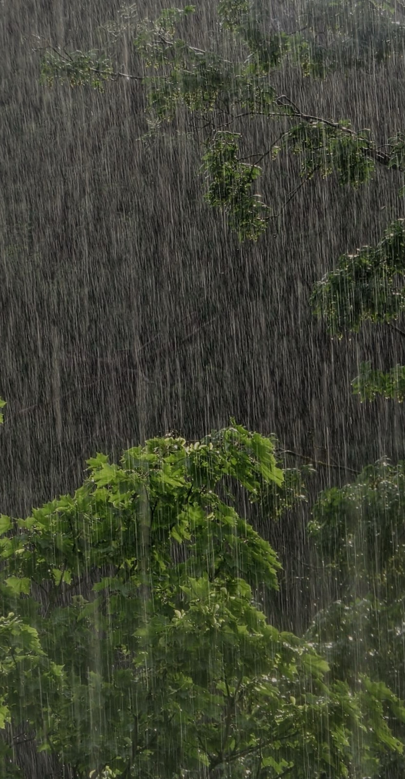 ☂︎ ⠀  ⠀ 